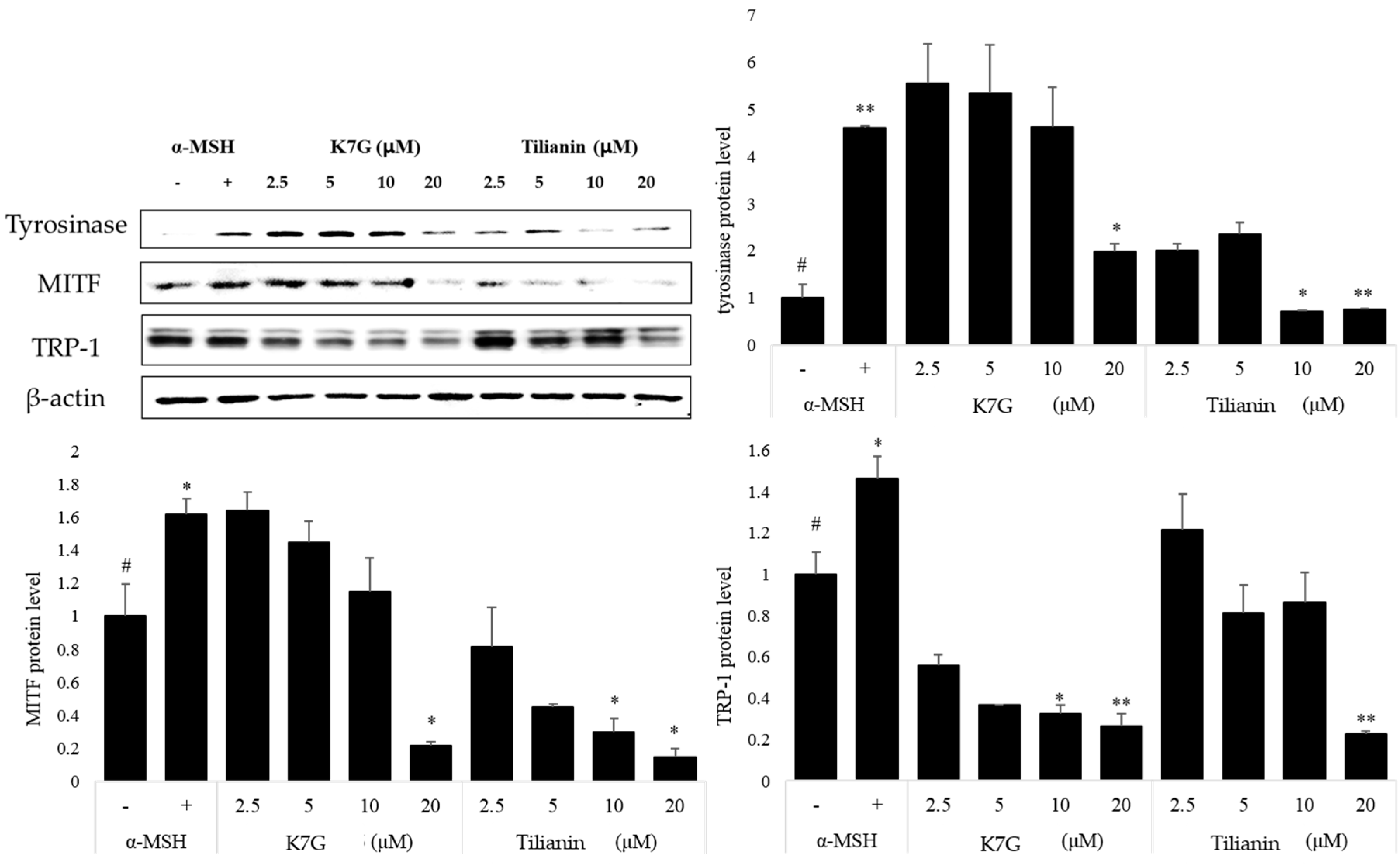 Molecules 21 01296 g003