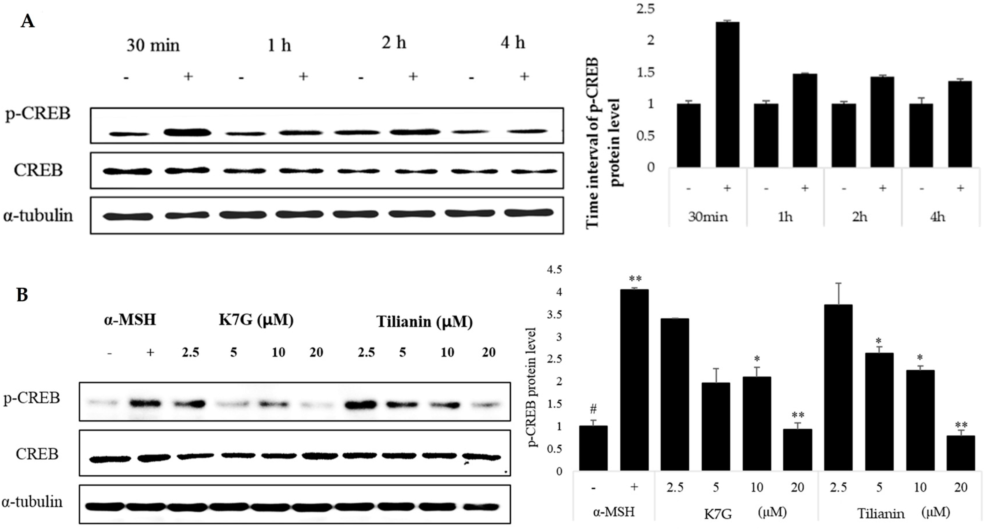 Molecules 21 01296 g004