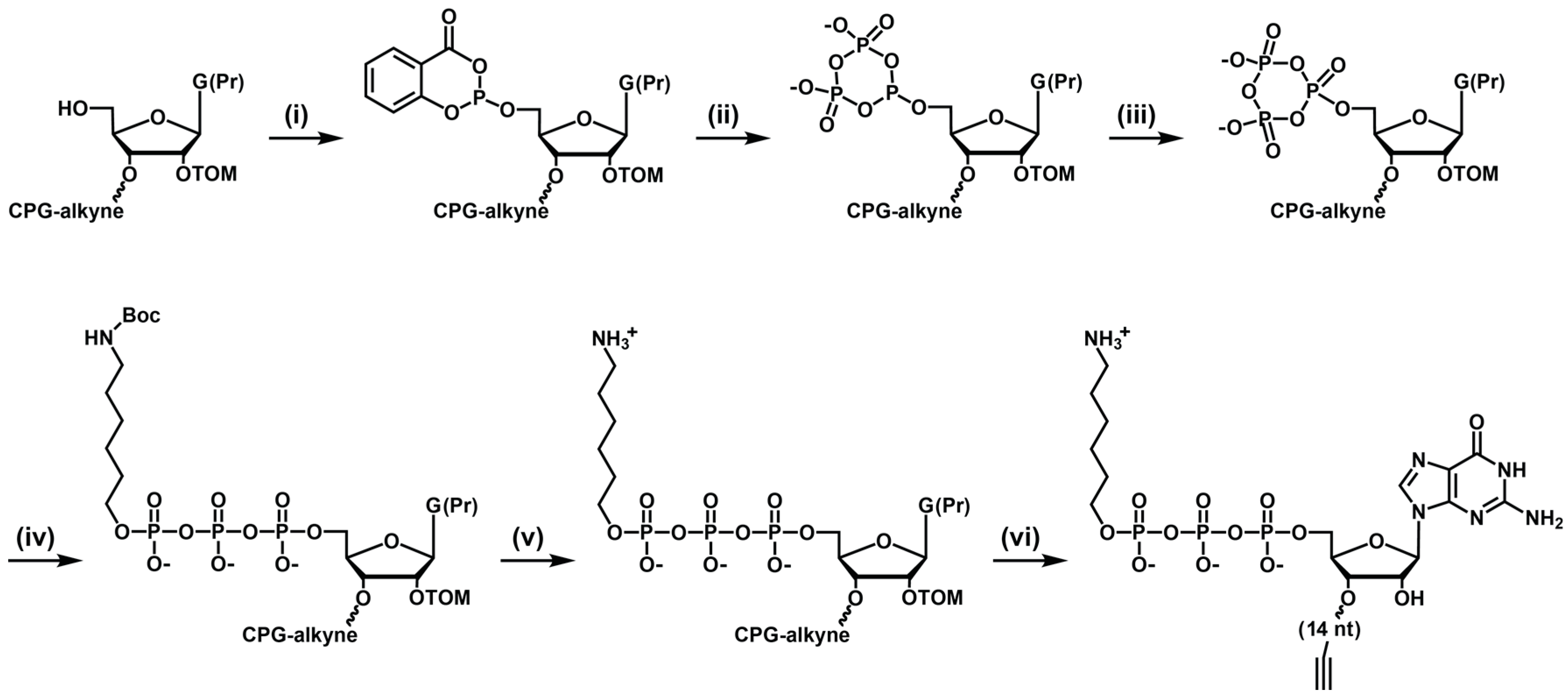 Molecules 21 01310 sch001