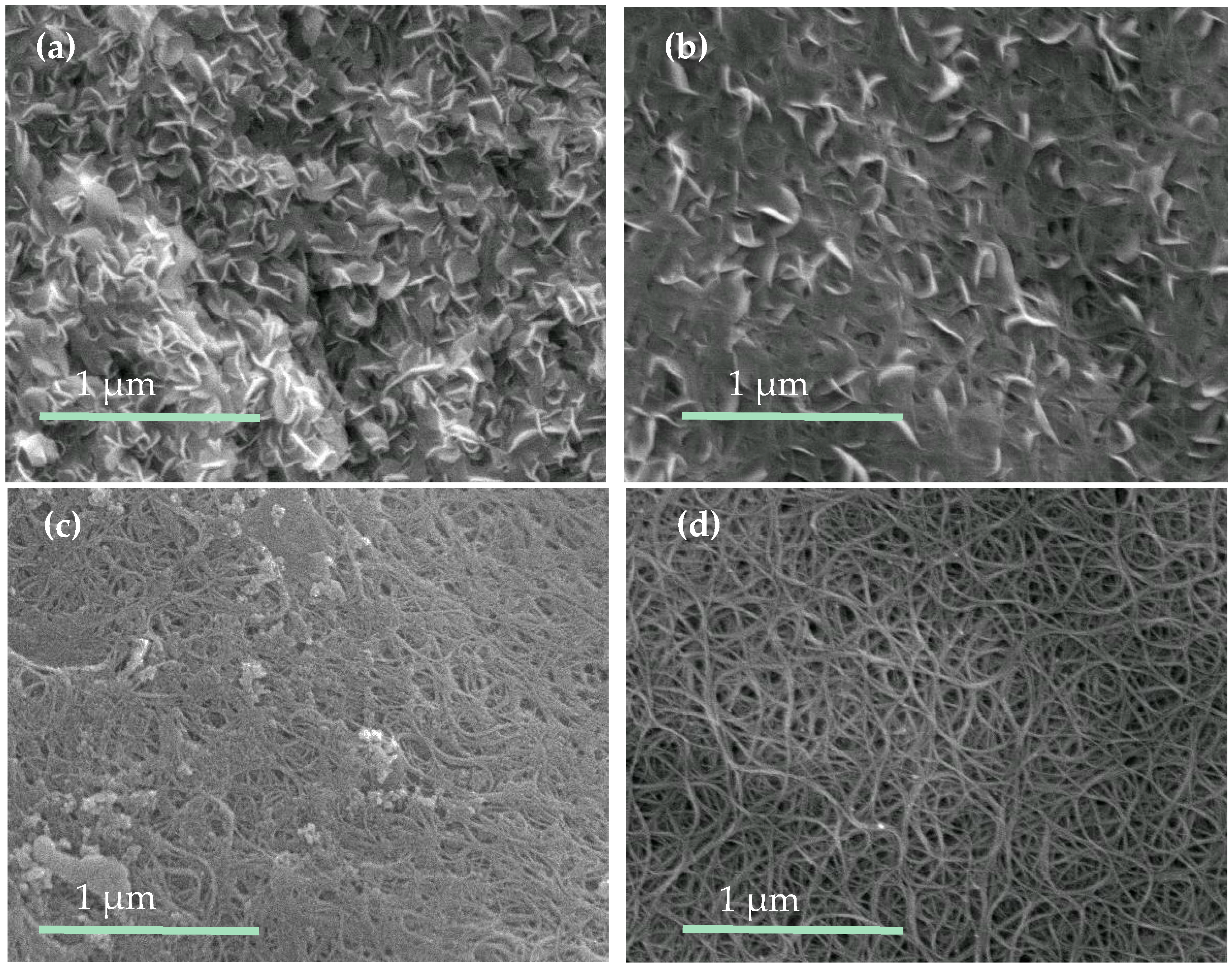 Molecules 21 01318 g002
