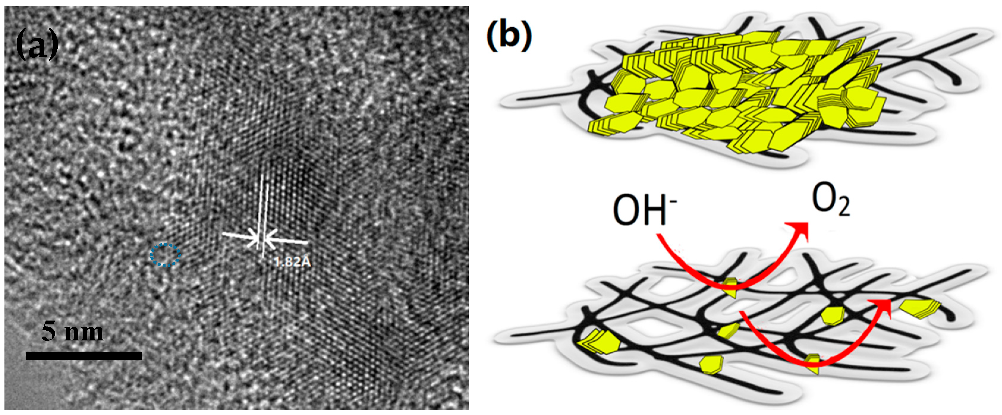 Molecules 21 01318 g006