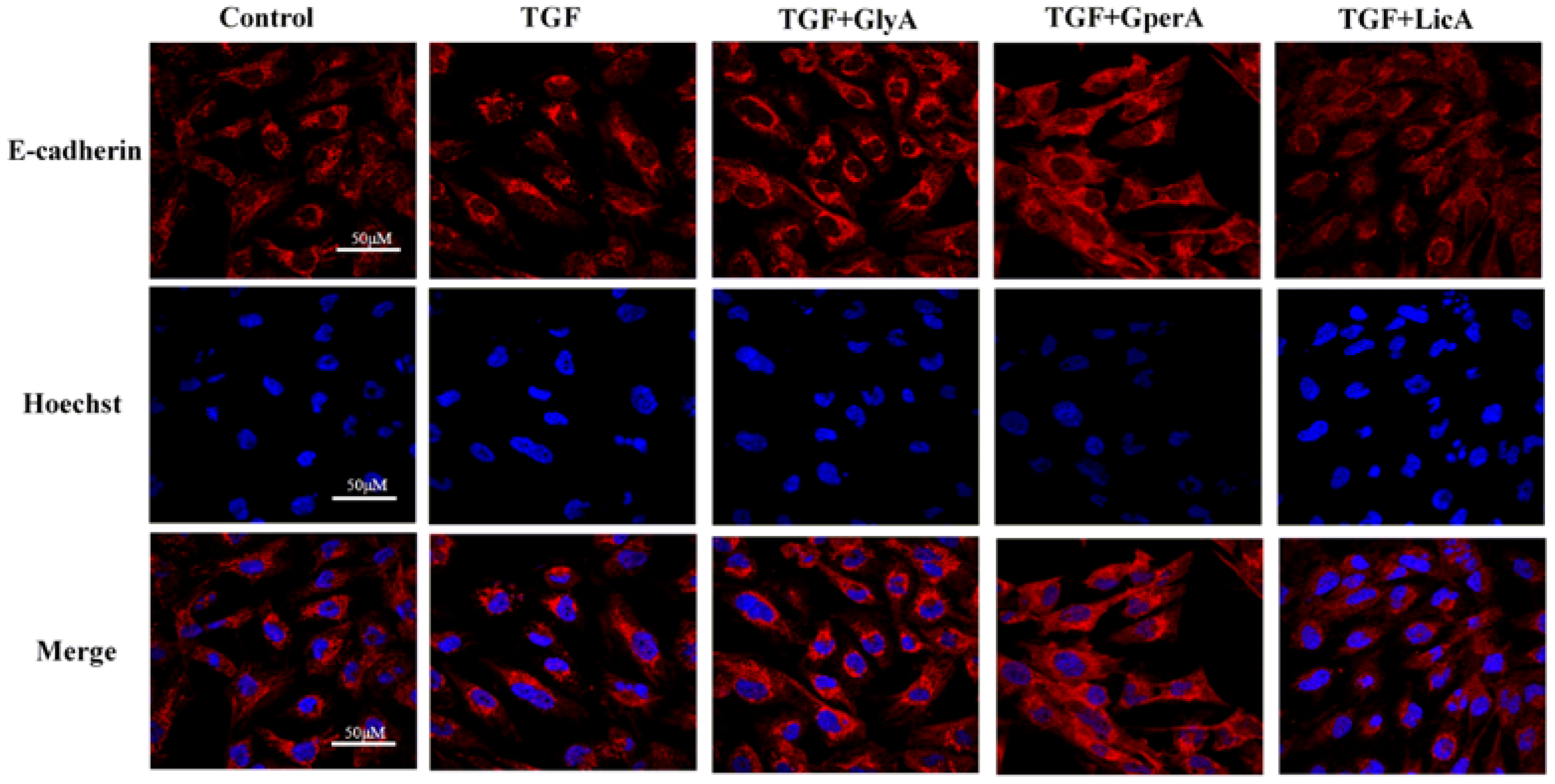 Molecules 21 01340 g006