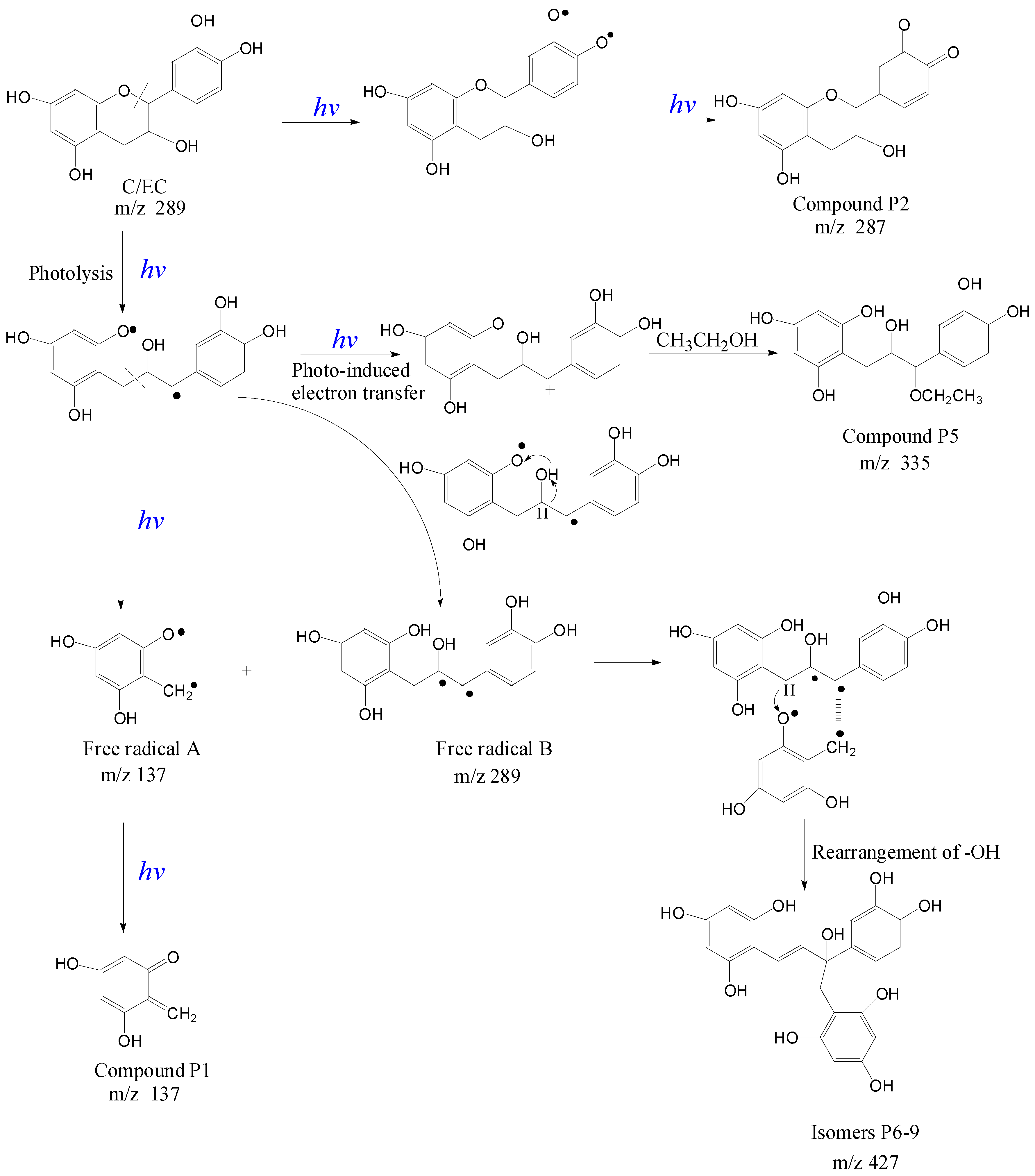 Molecules 21 01345 g006