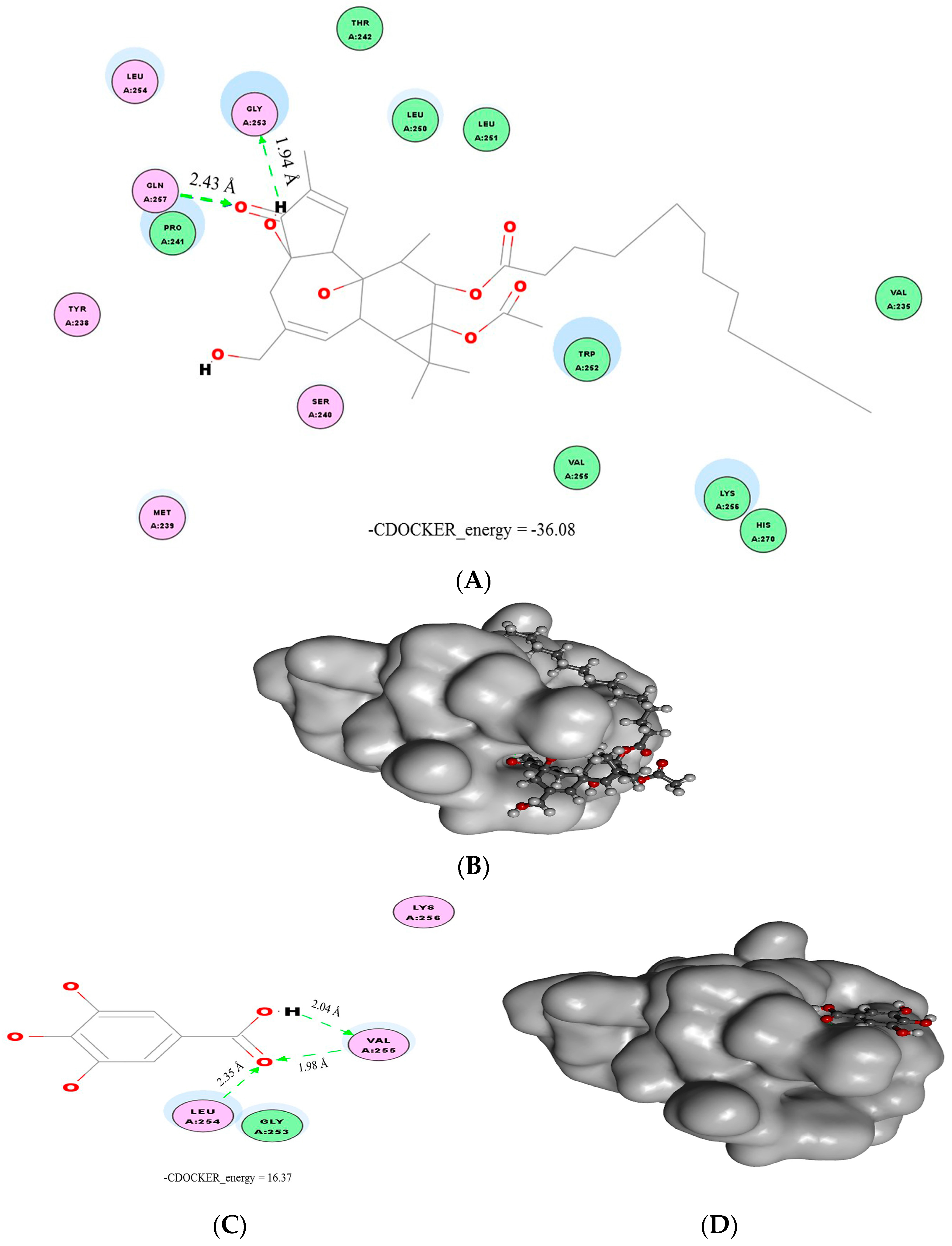 Molecules 21 01346 g004