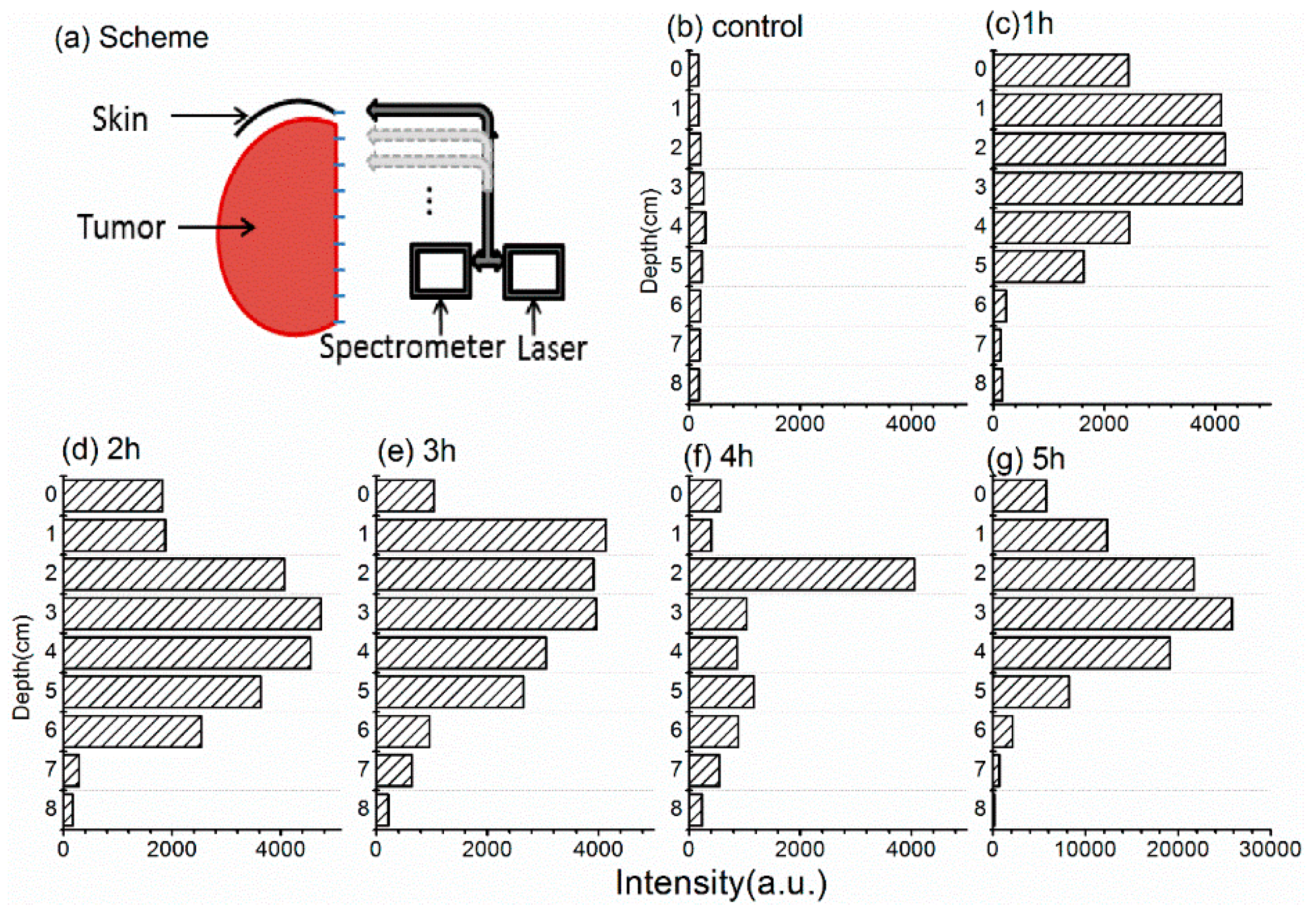 Molecules 21 01347 g006