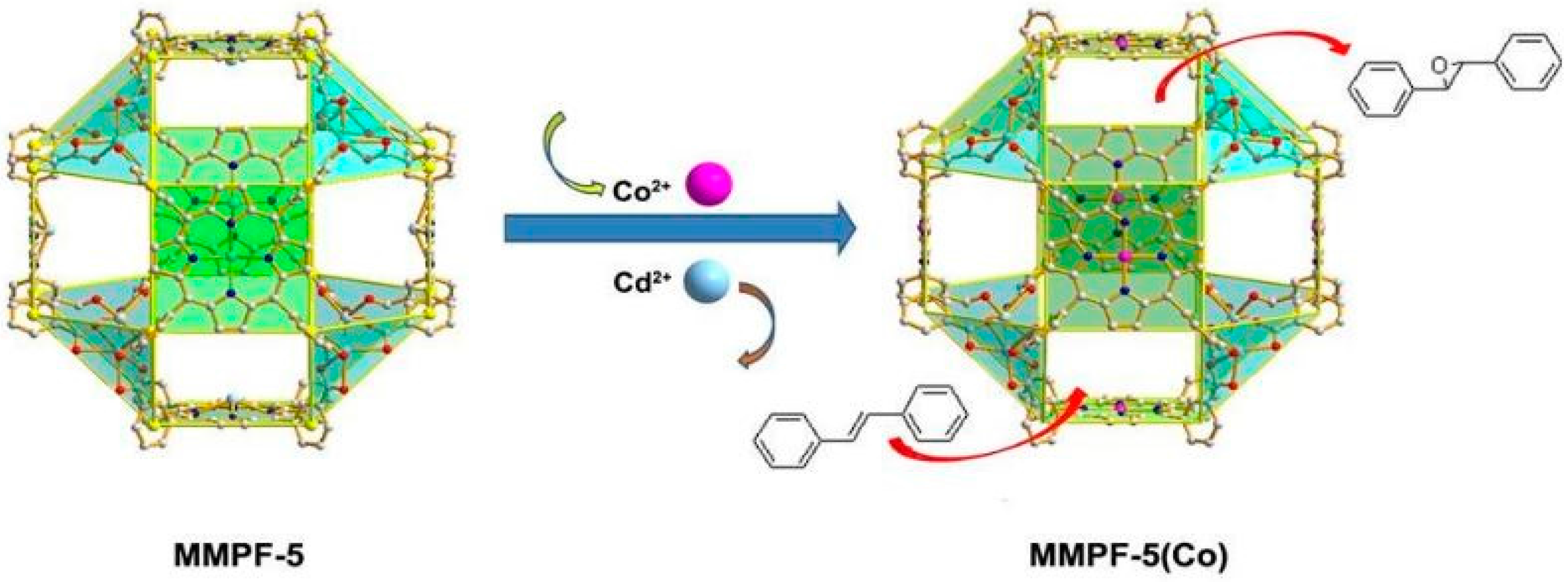 Molecules 21 01348 g007