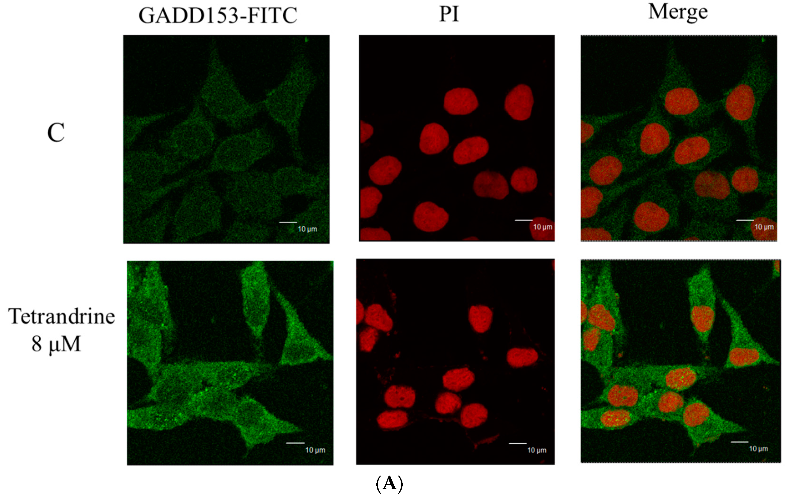 Molecules 21 01353 g006a