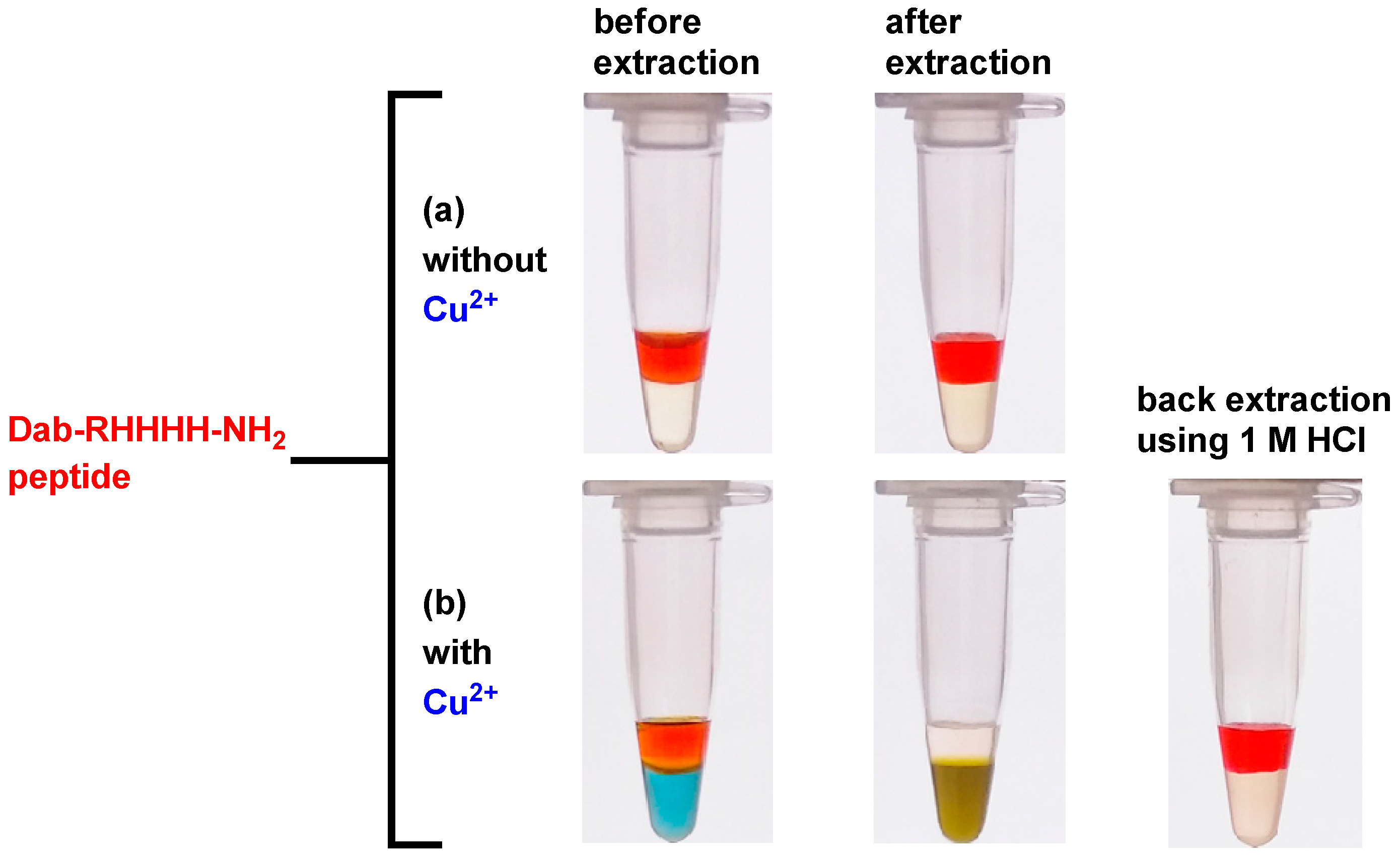 Molecules 21 01355 g006