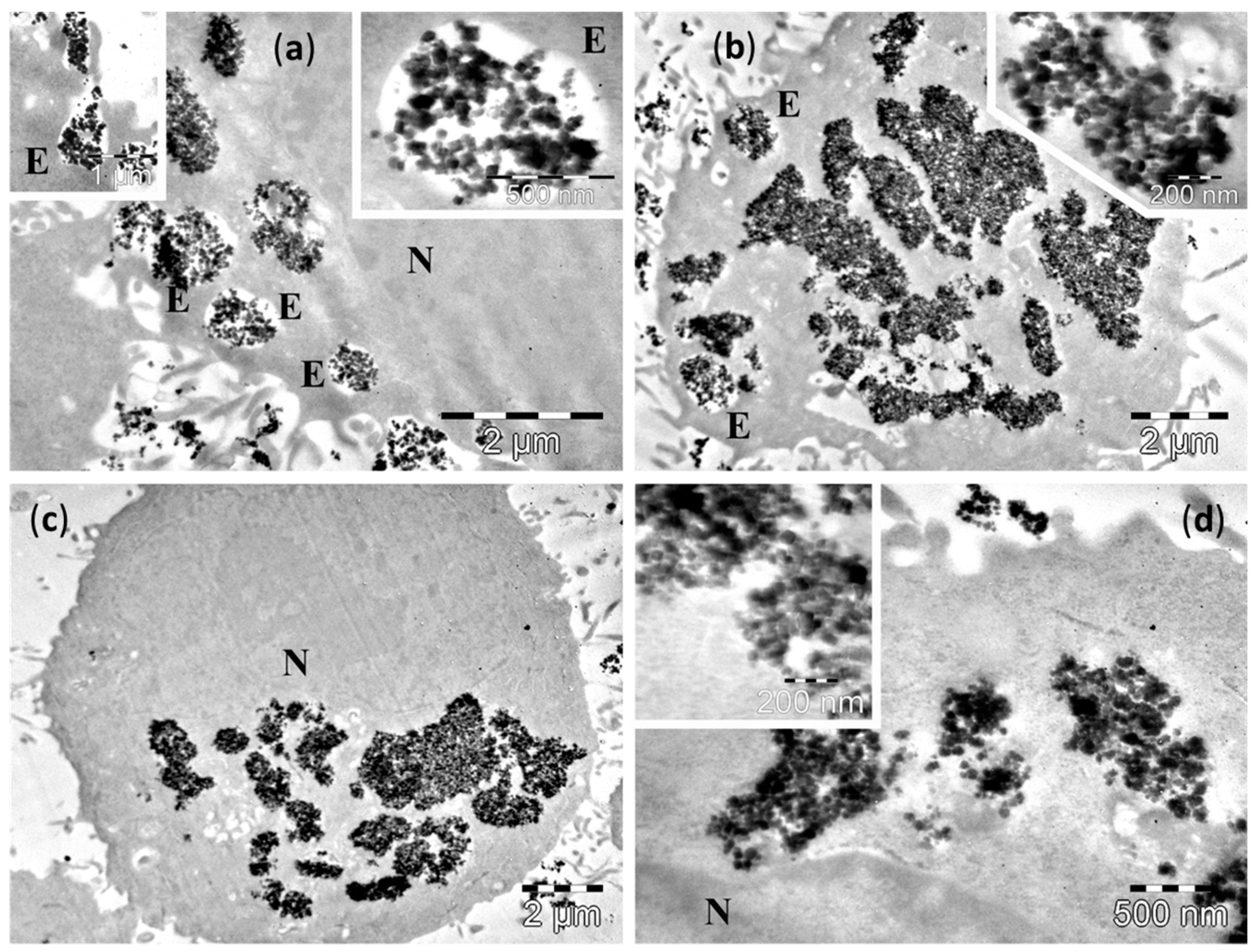 Molecules 21 01357 g004