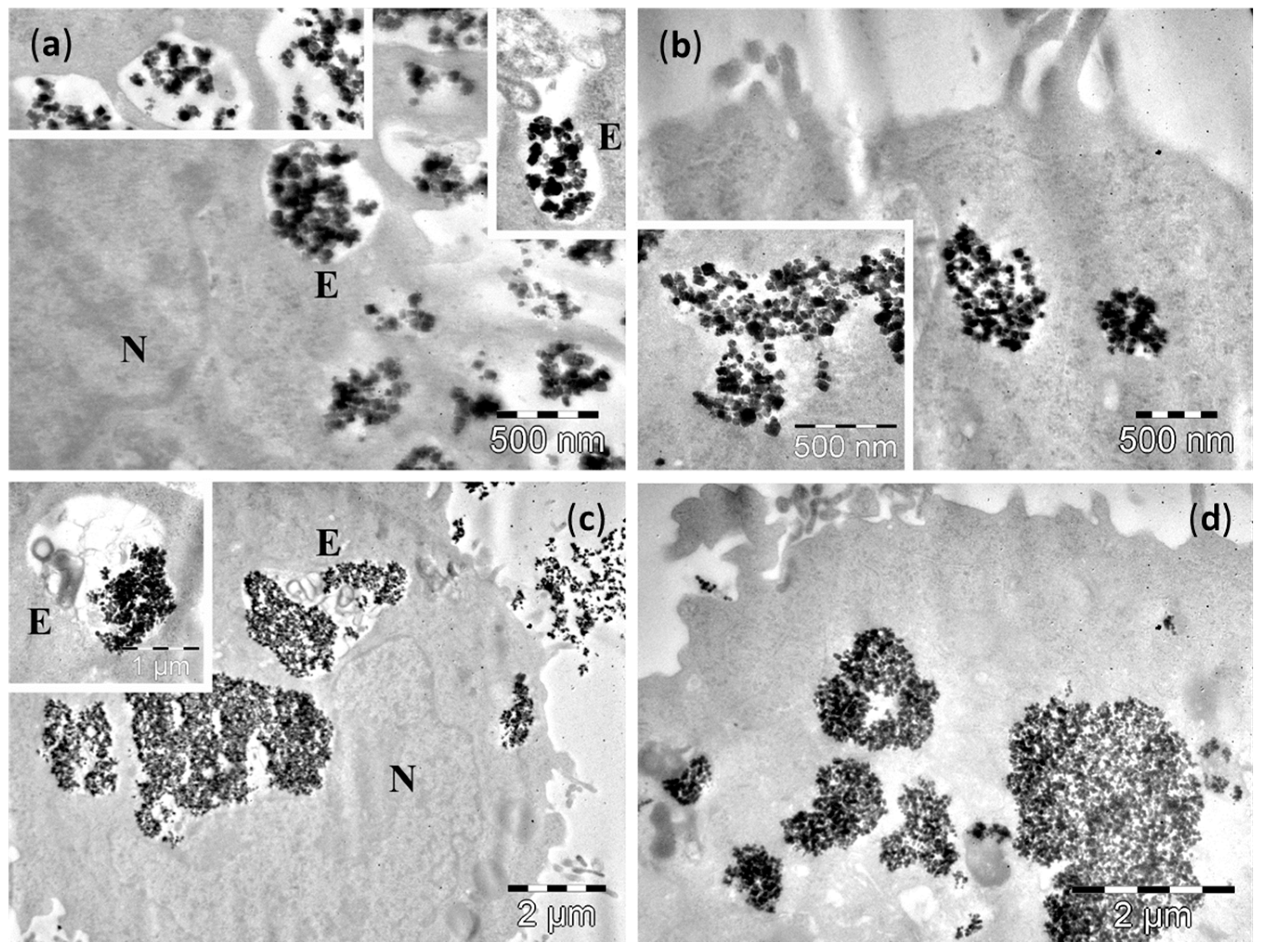 Molecules 21 01357 g005