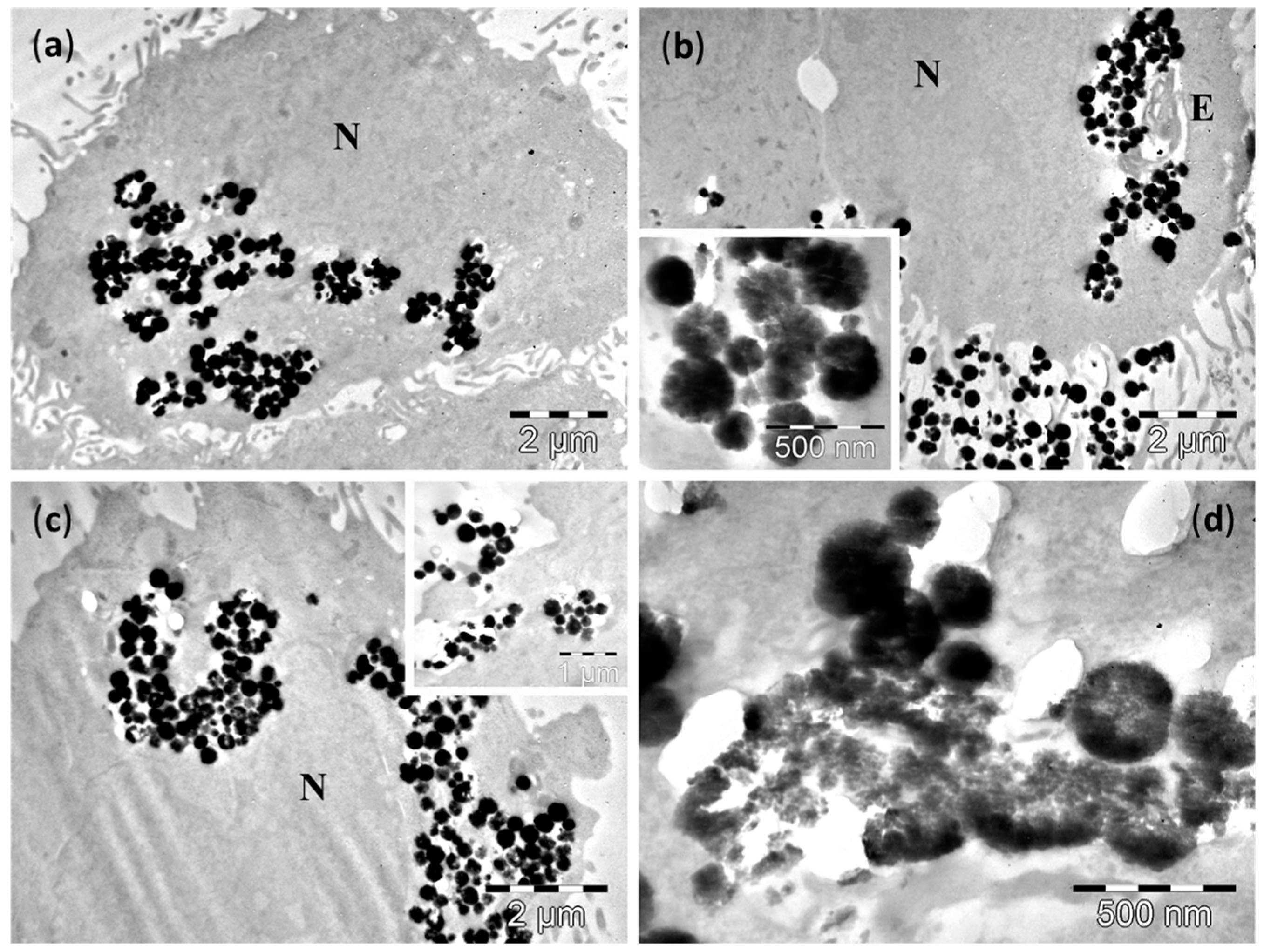 Molecules 21 01357 g006
