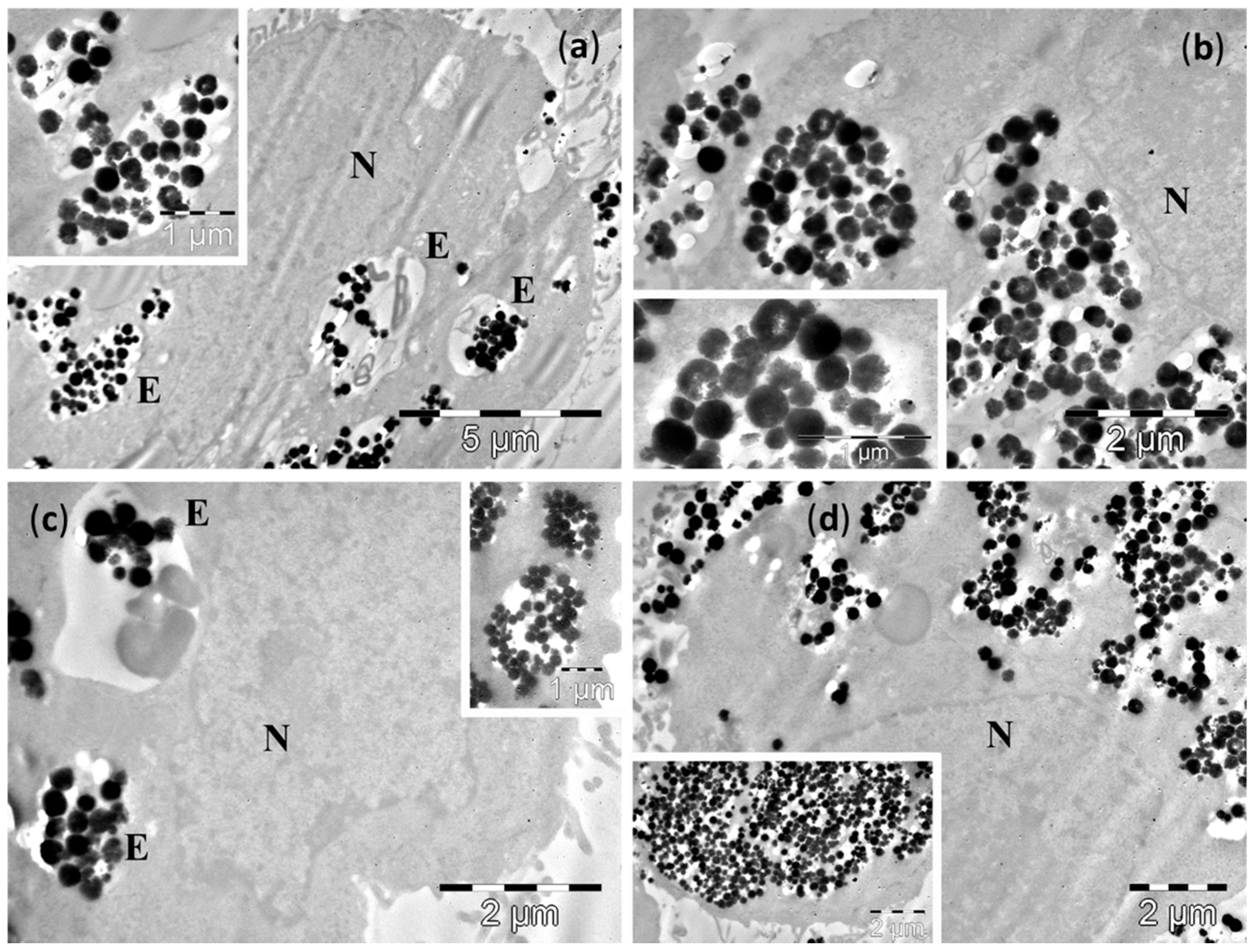 Molecules 21 01357 g007