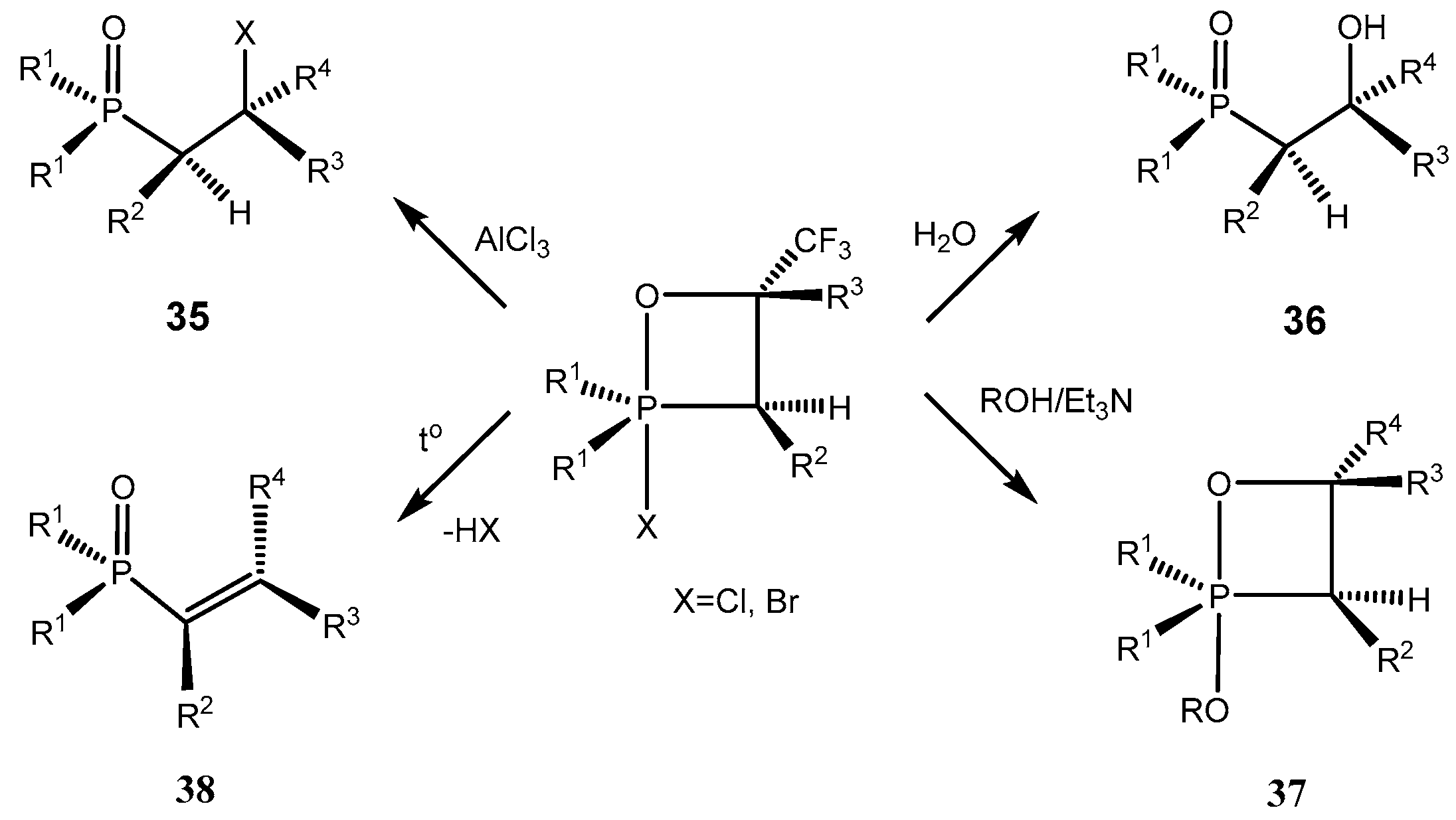 Molecules 21 01371 sch023