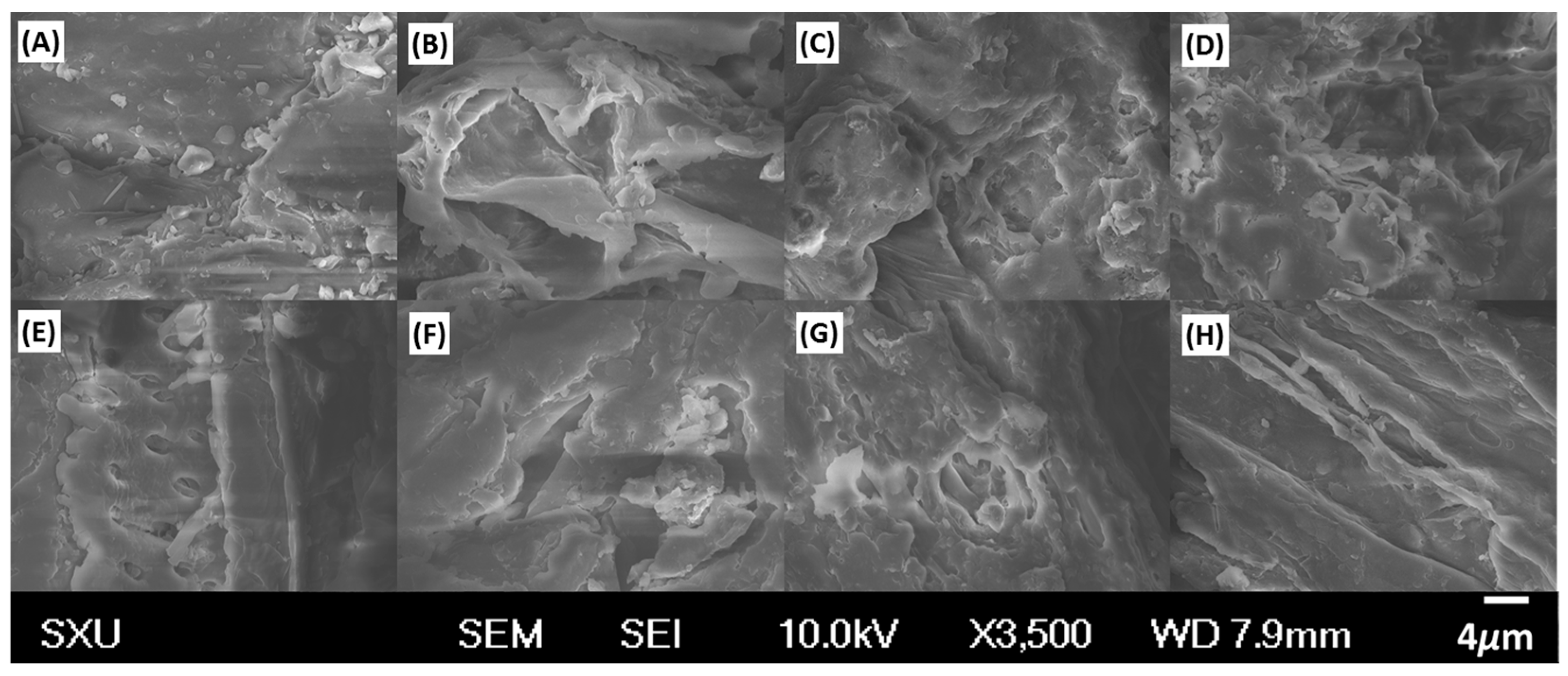 Molecules 21 01383 g008
