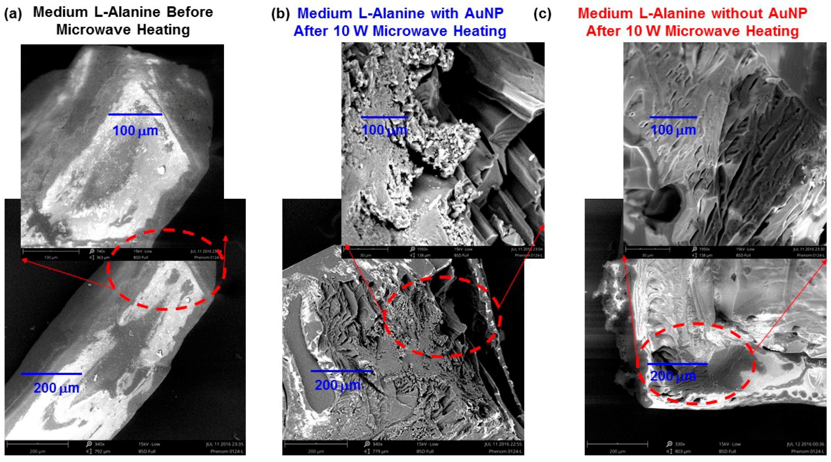 Molecules 21 01388 g005