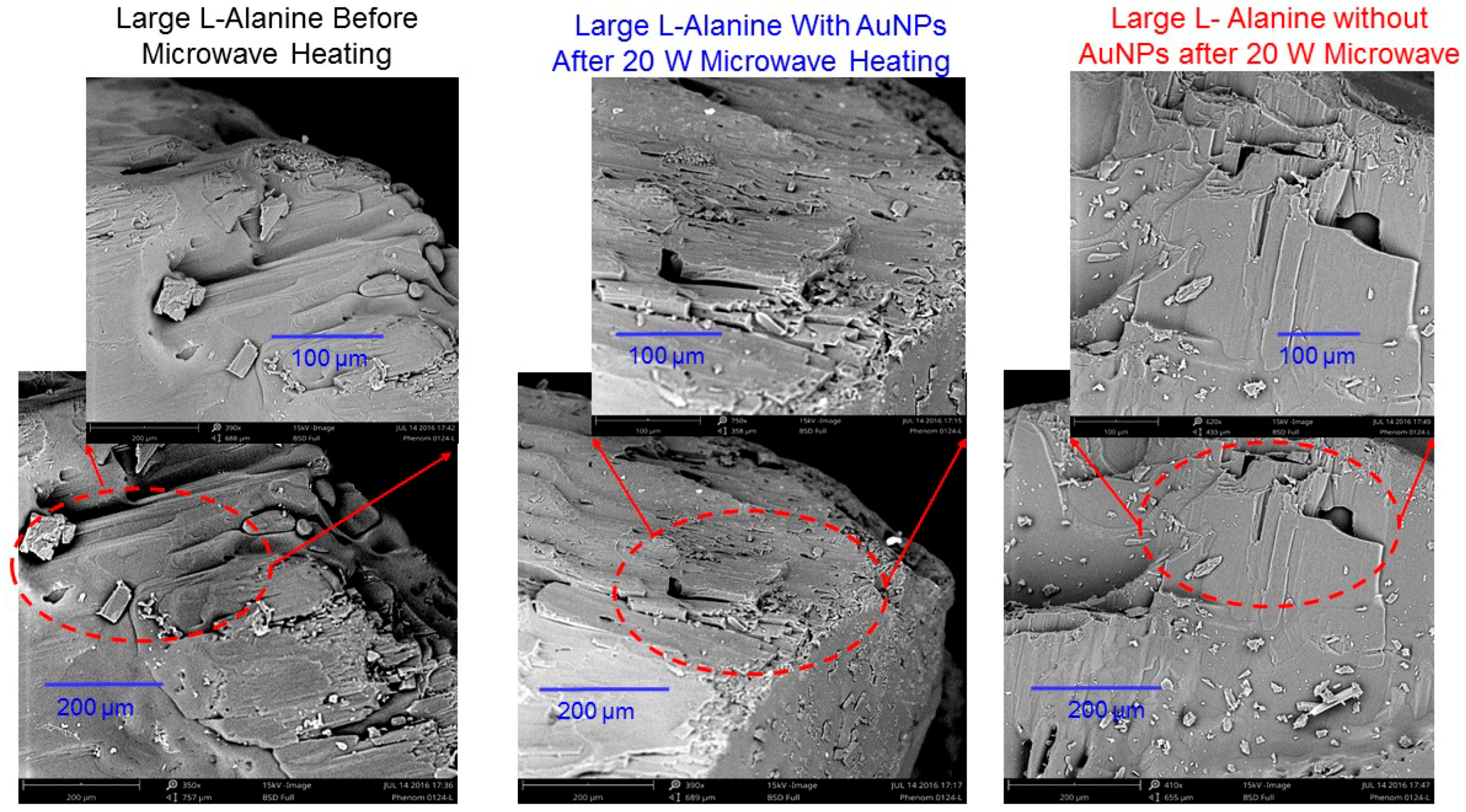 Molecules 21 01388 g008