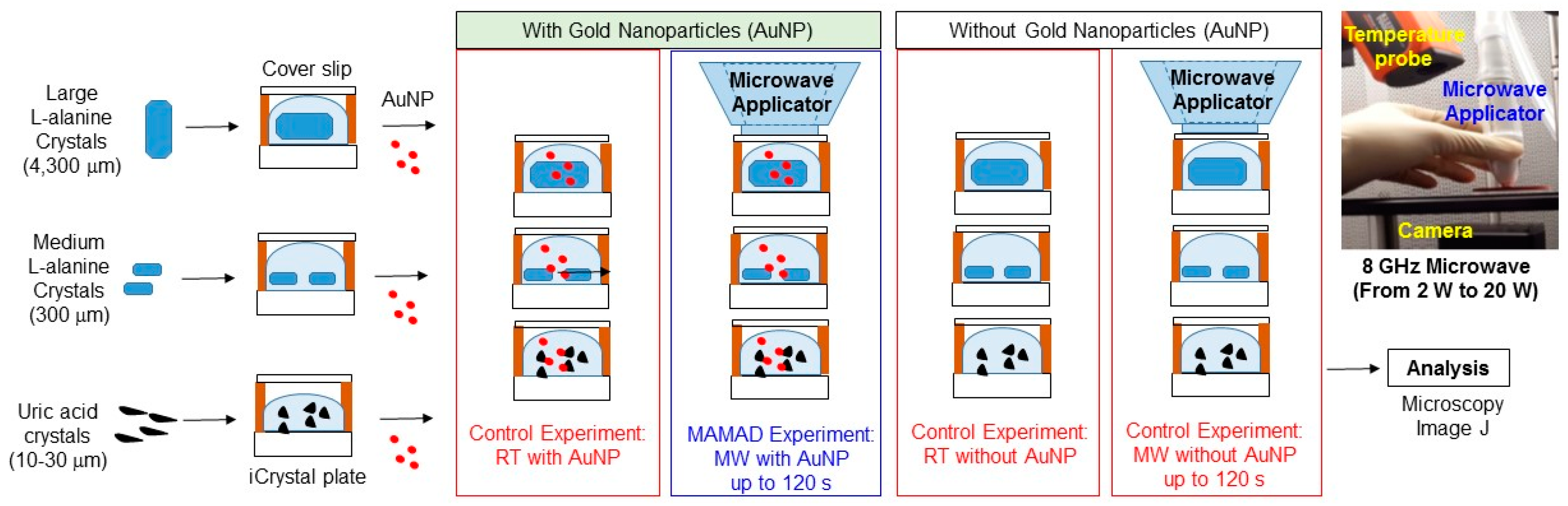 Molecules 21 01388 g010