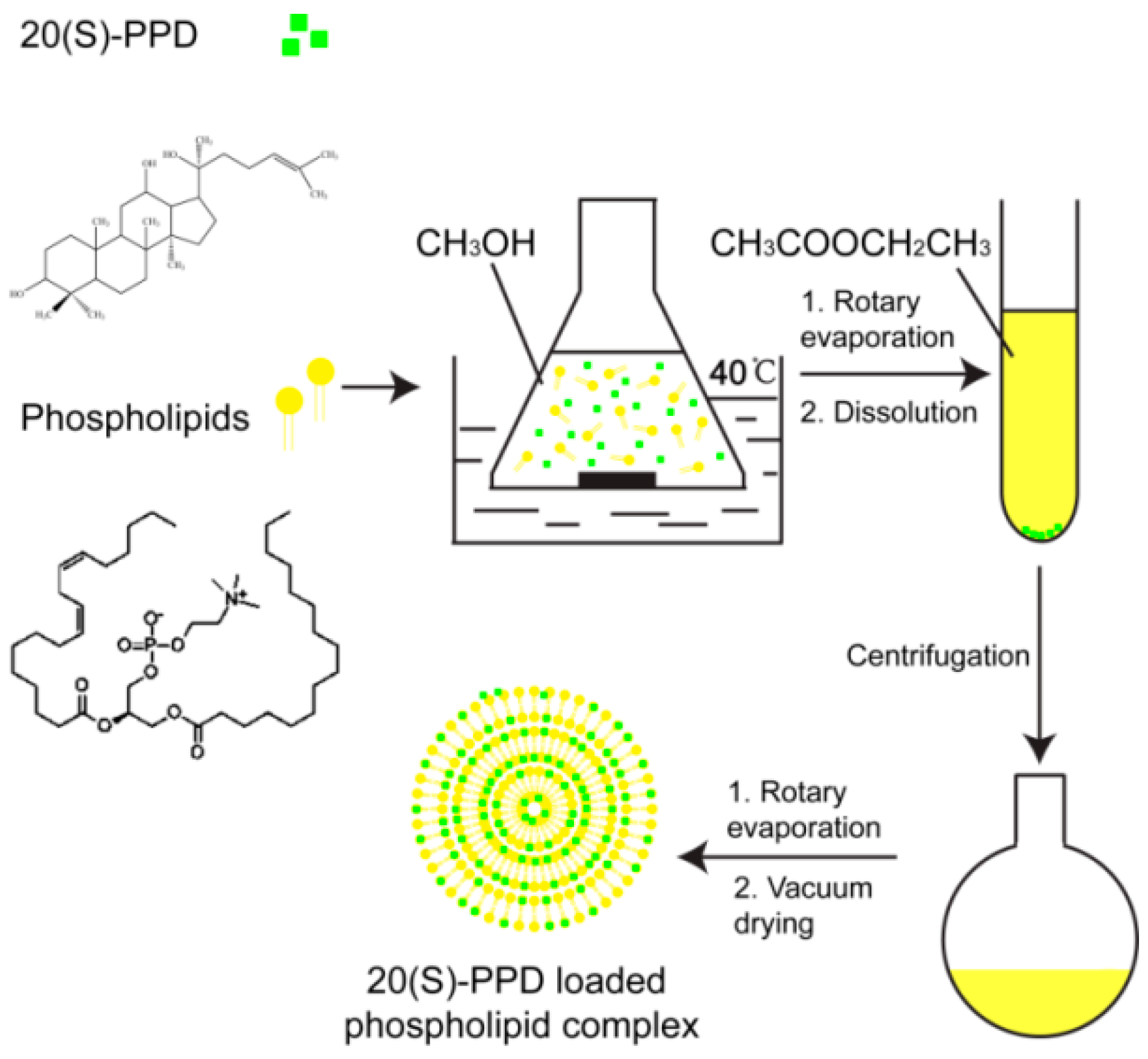 Molecules 21 01396 g012