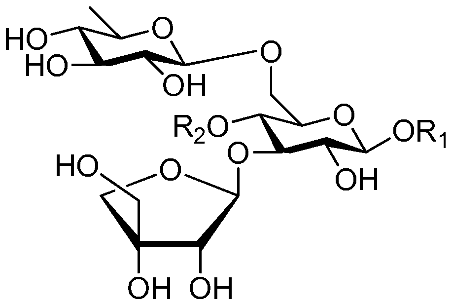 Molecules 21 01402 g024