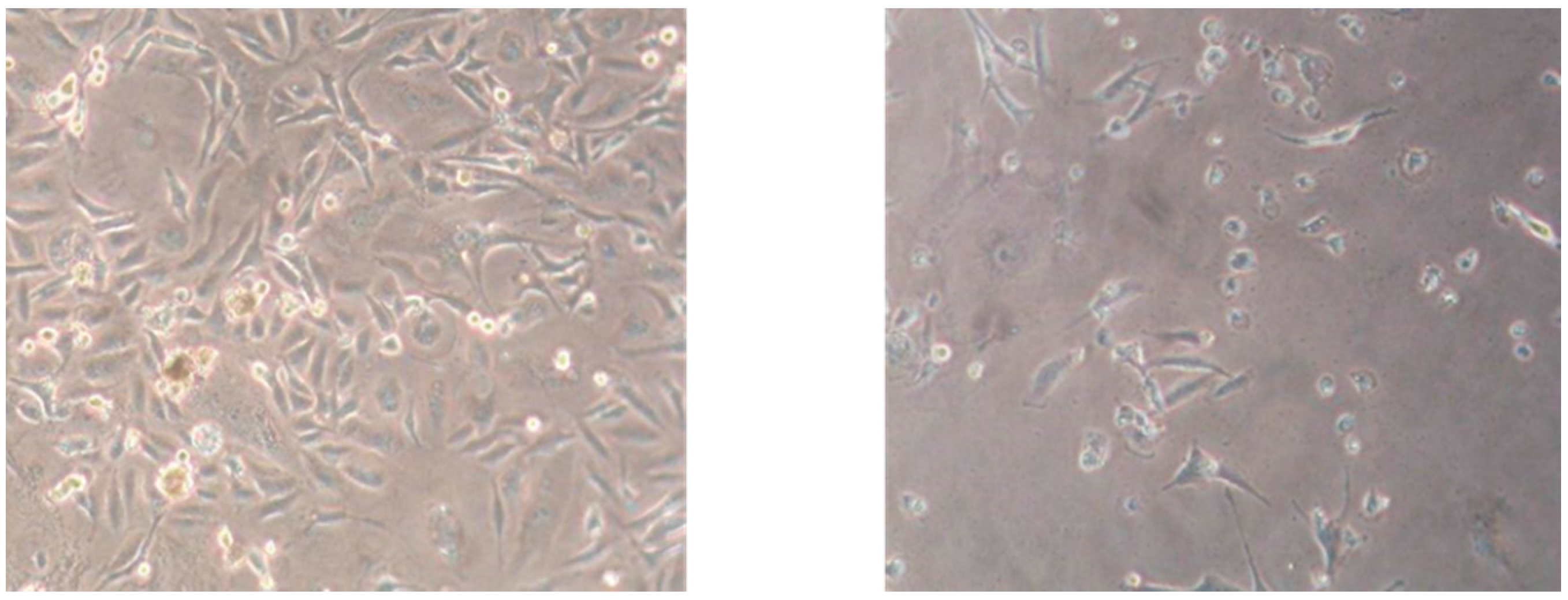 Molecules 21 01405 g004