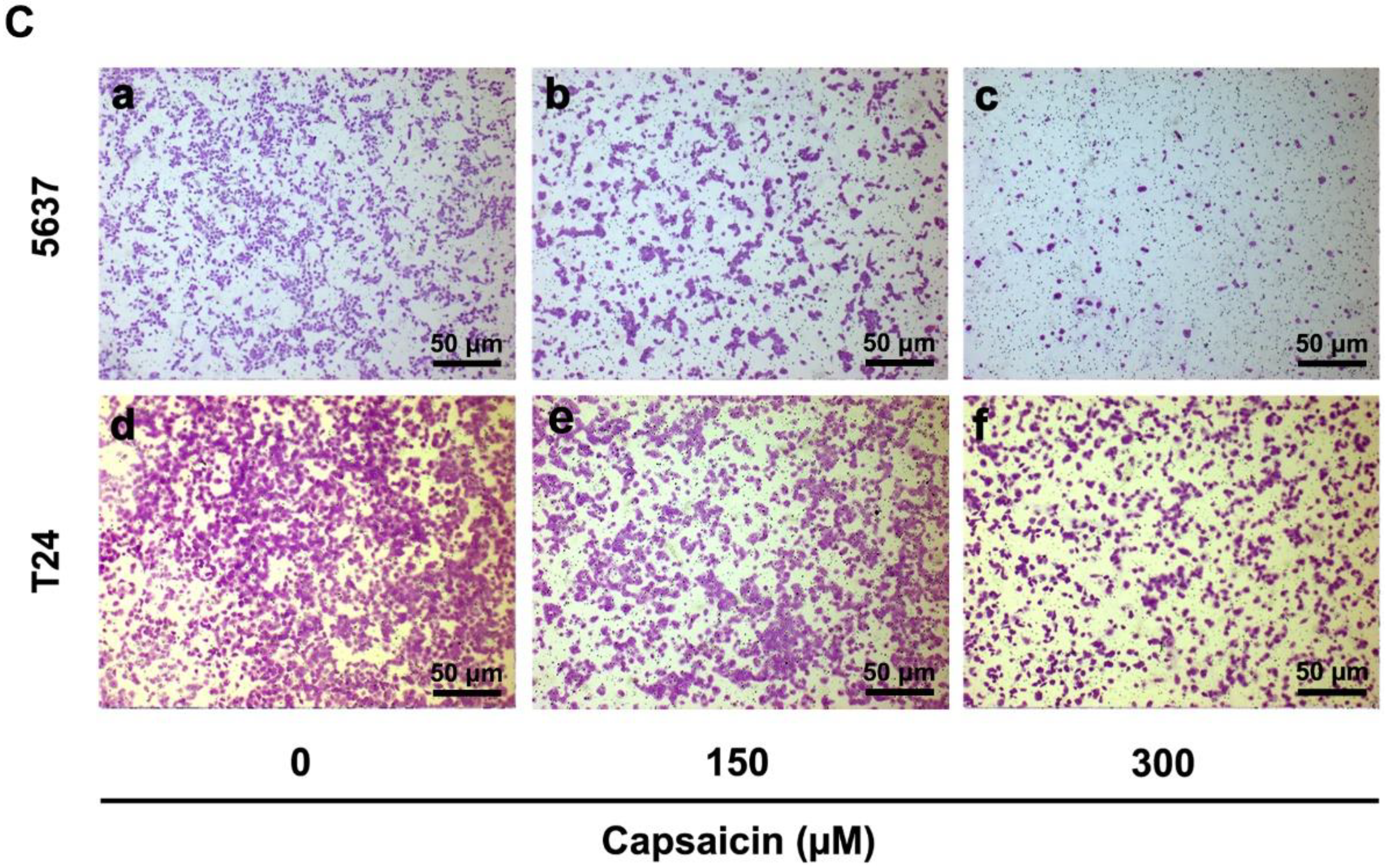 Molecules 21 01406 g001b