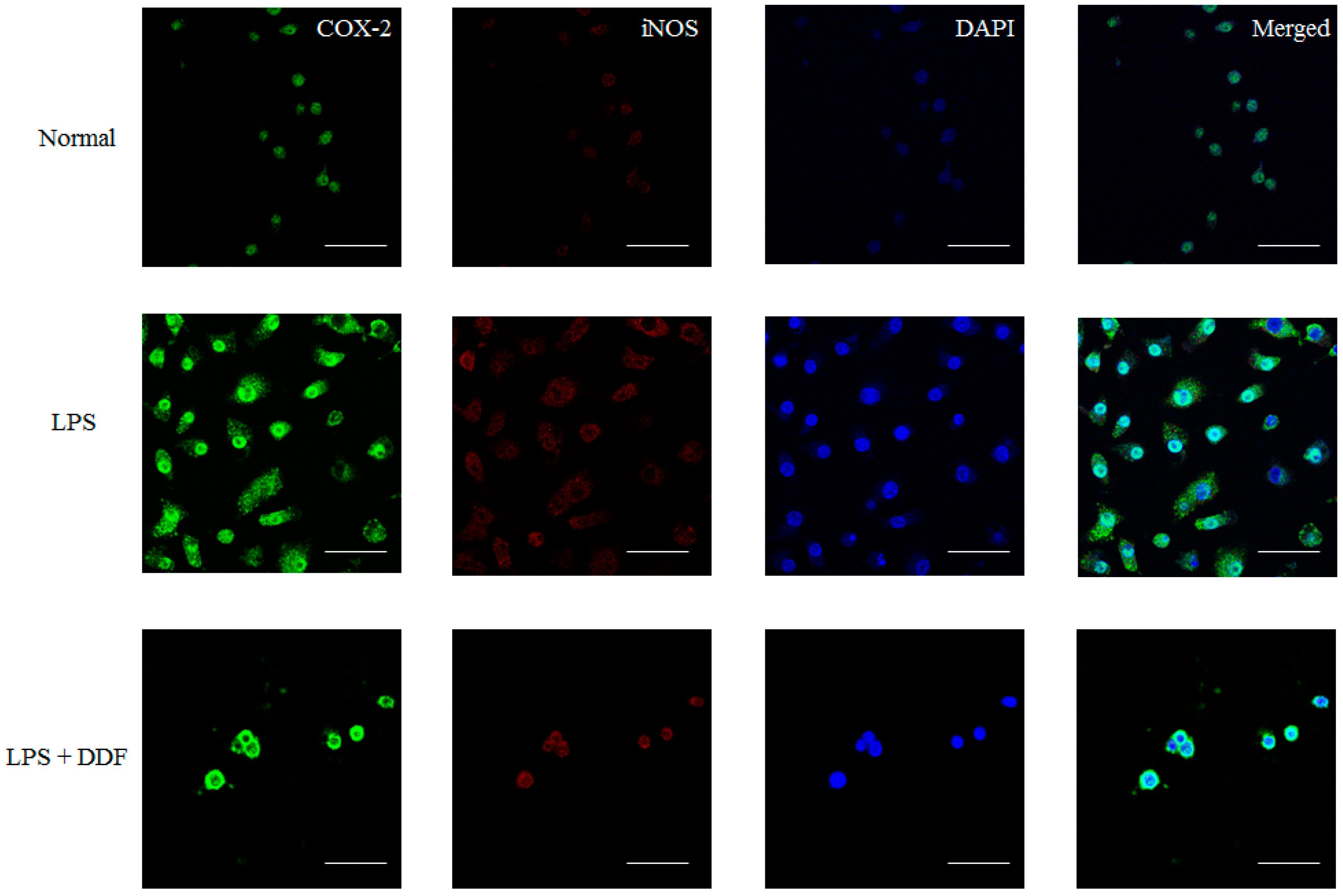 Molecules 21 01413 g001