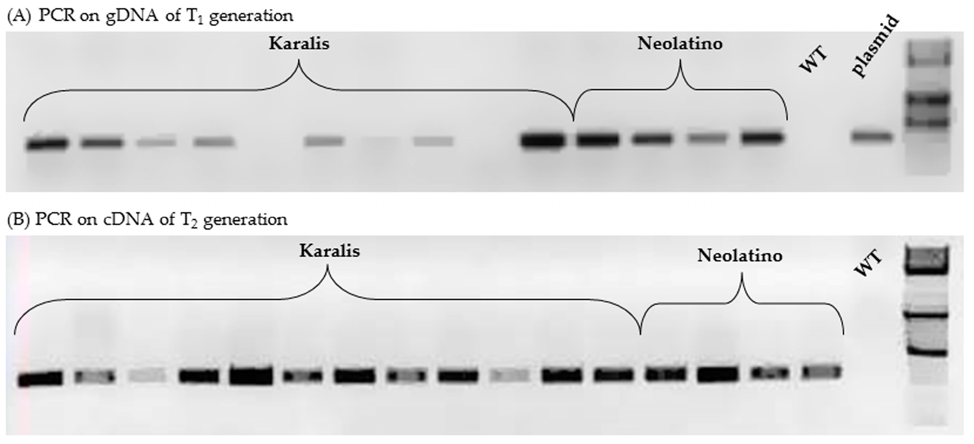 Molecules 21 01440 g004