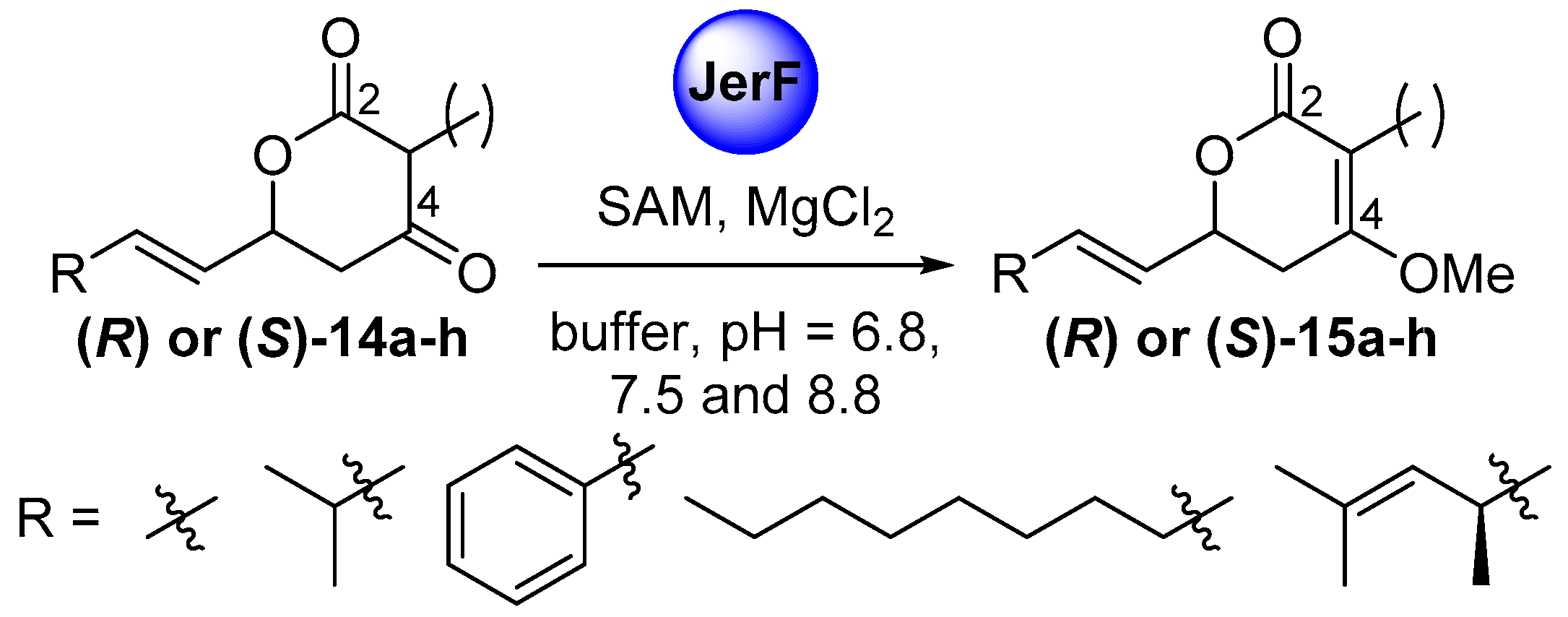 Molecules 21 01443 sch003