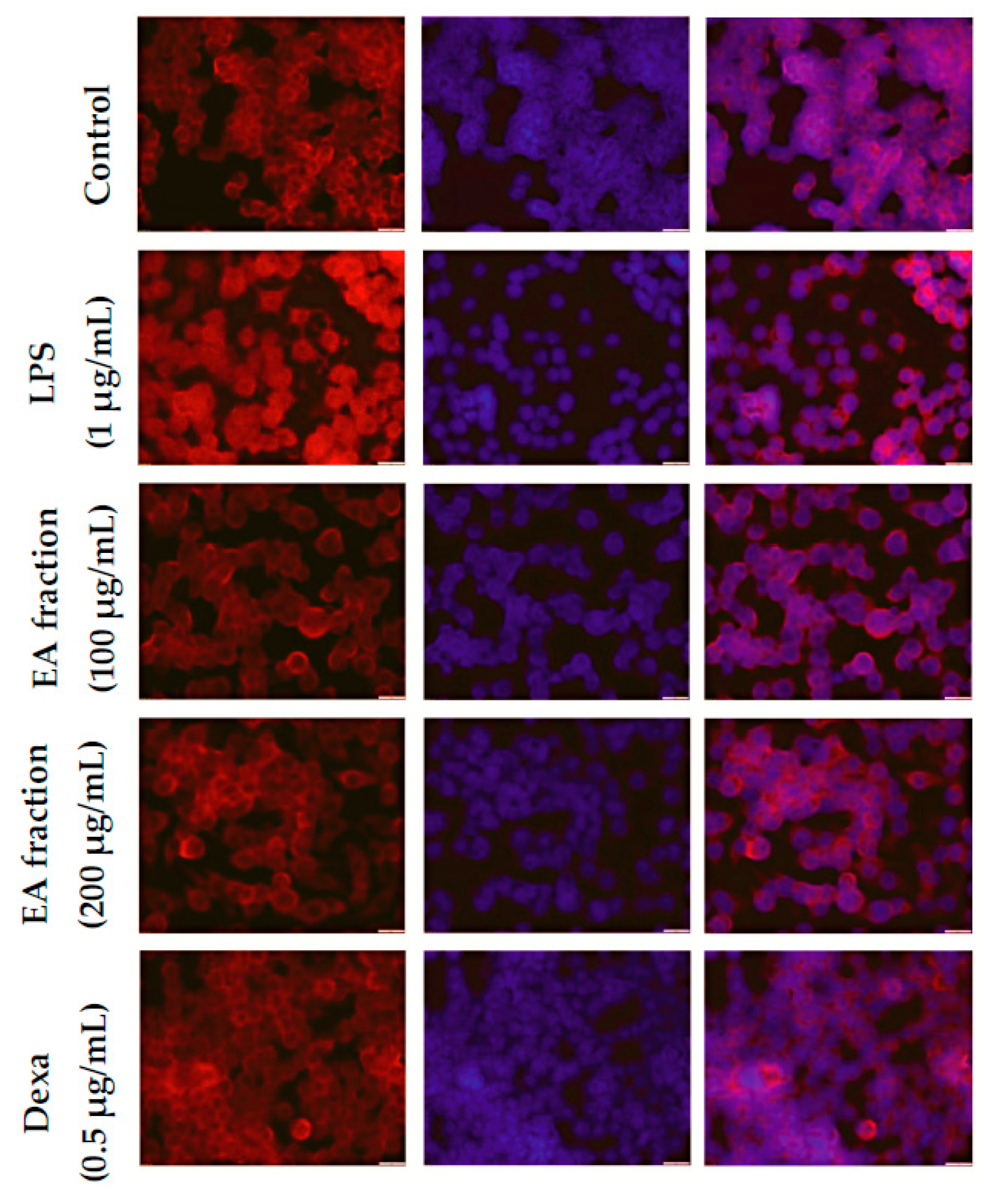 Molecules 21 01452 g005