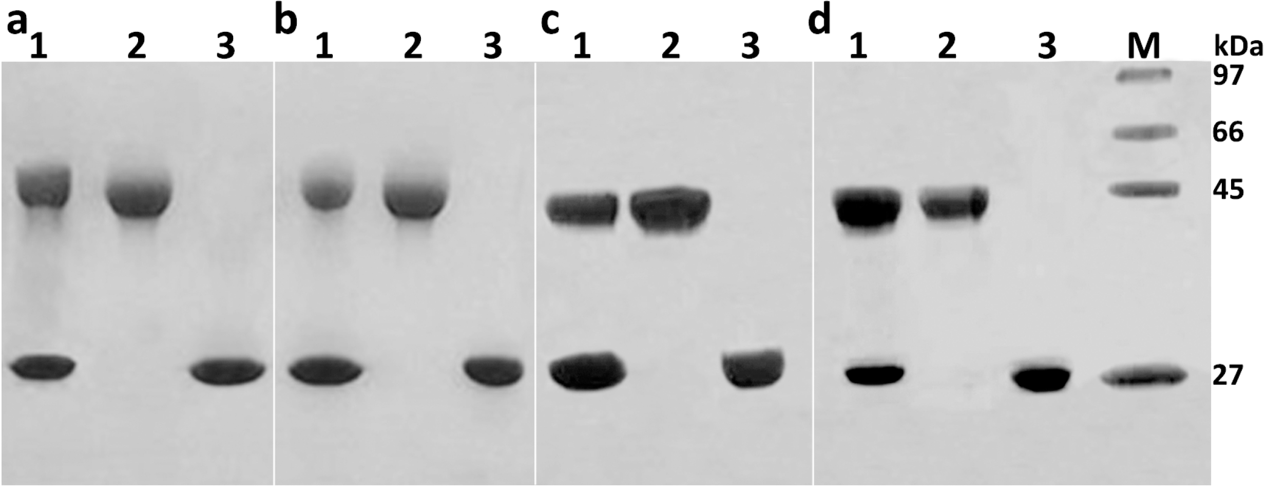 Molecules 21 01457 g002