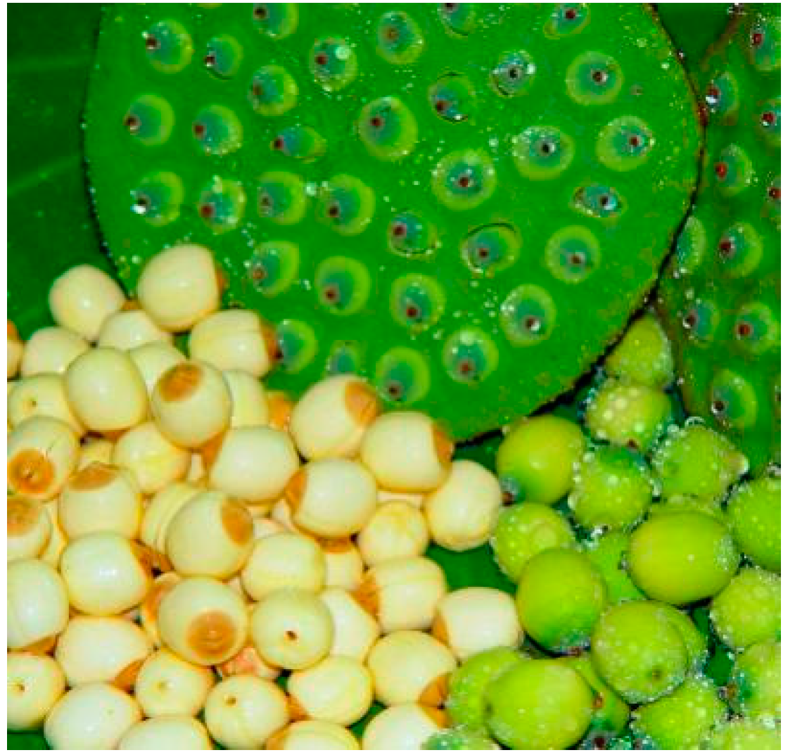 Molecules 21 01465 g001