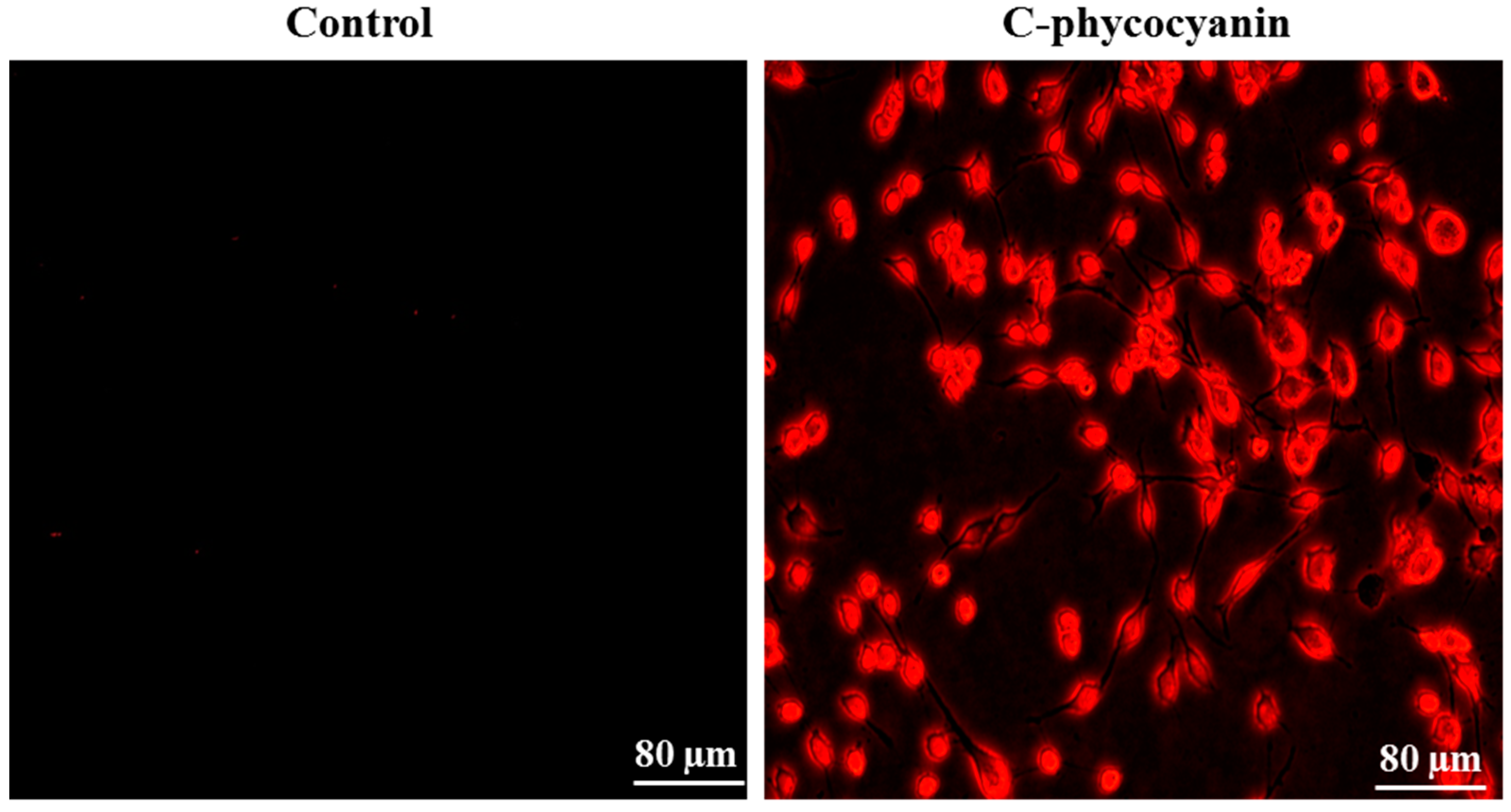 Molecules 21 01470 g003