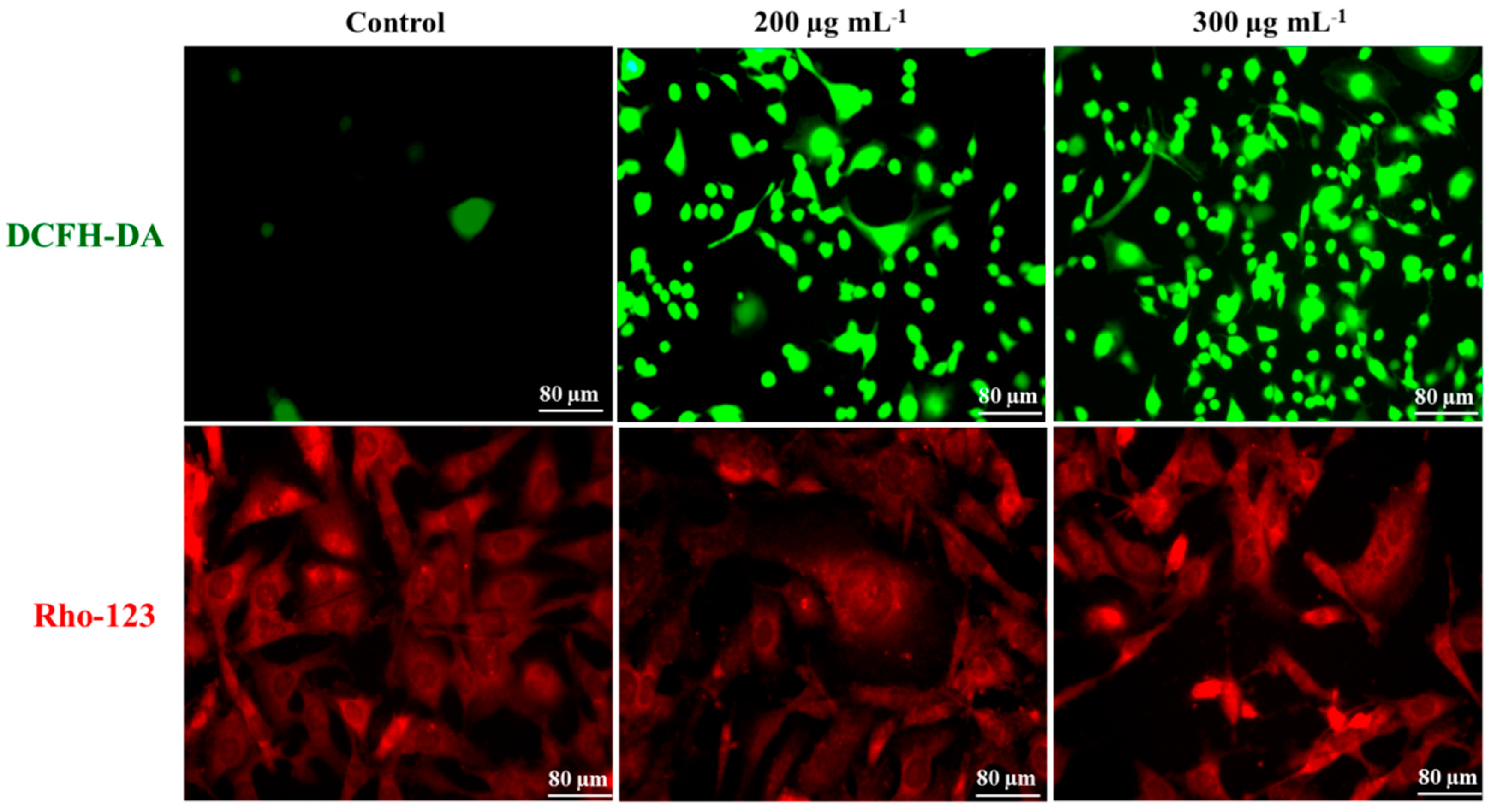 Molecules 21 01470 g006