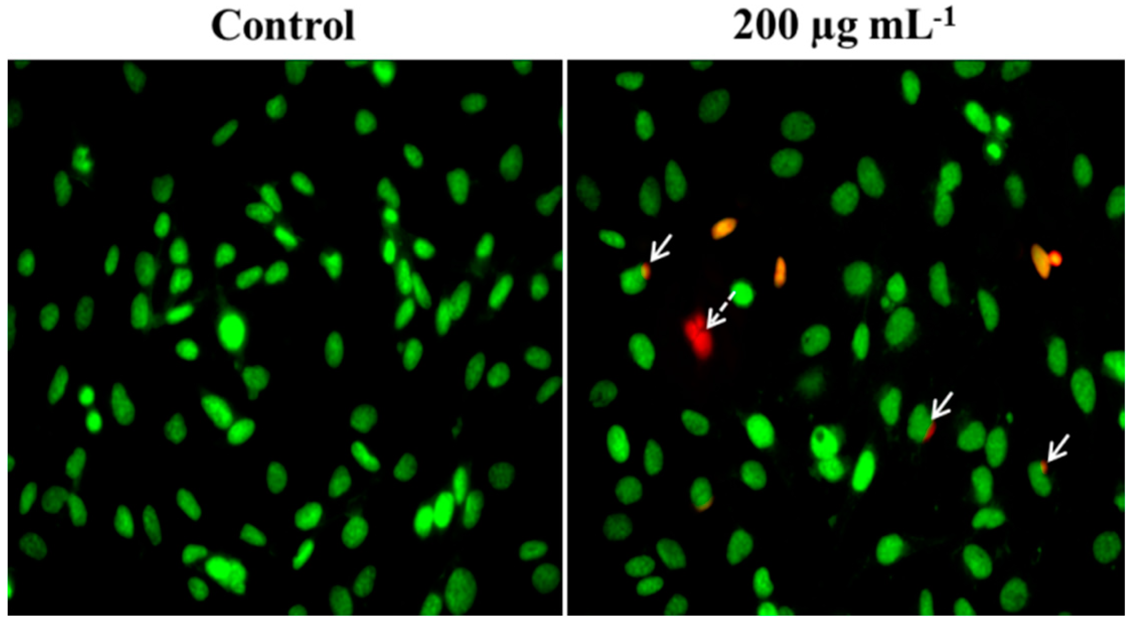 Molecules 21 01470 g007