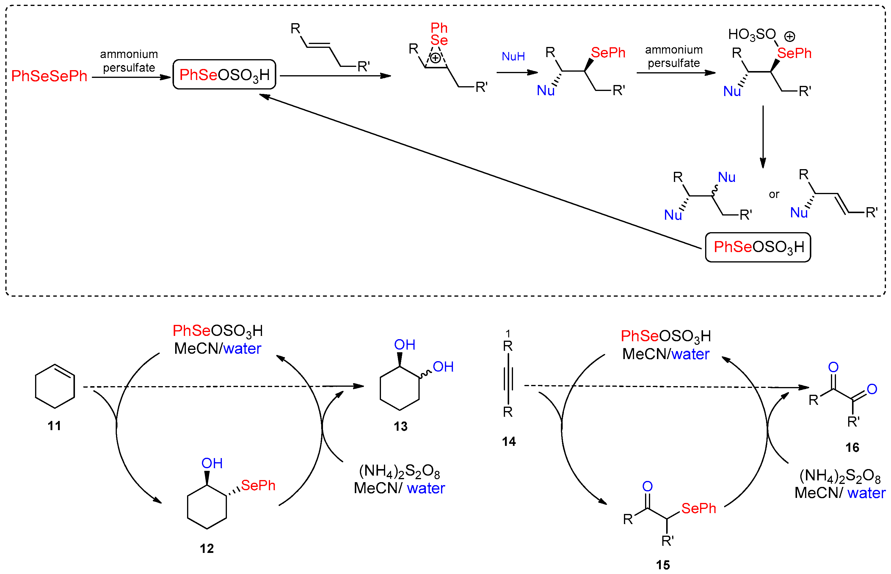 Molecules 21 01482 g012