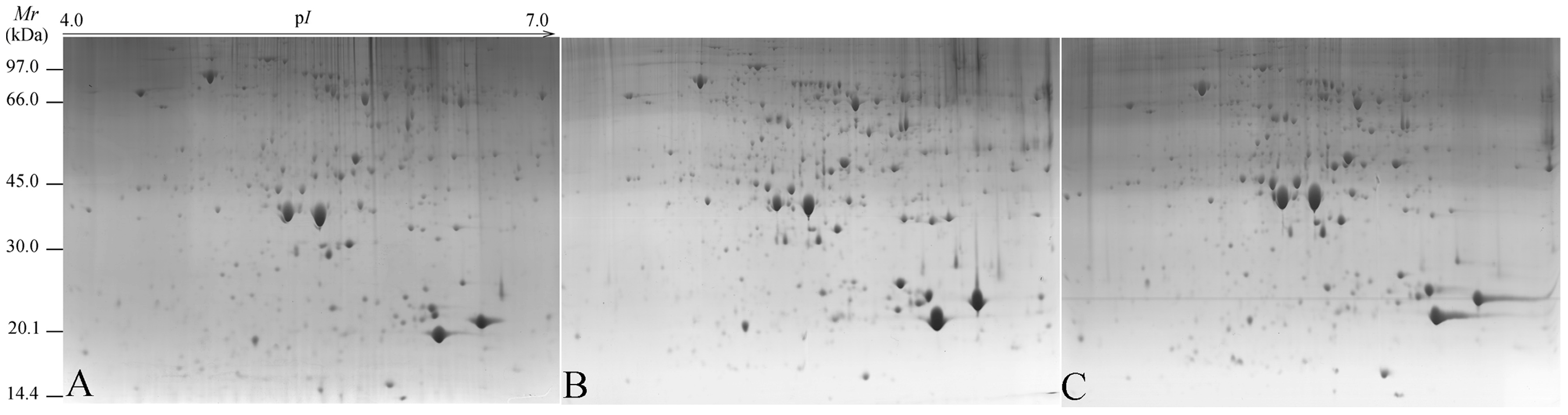 Molecules 21 01486 g003