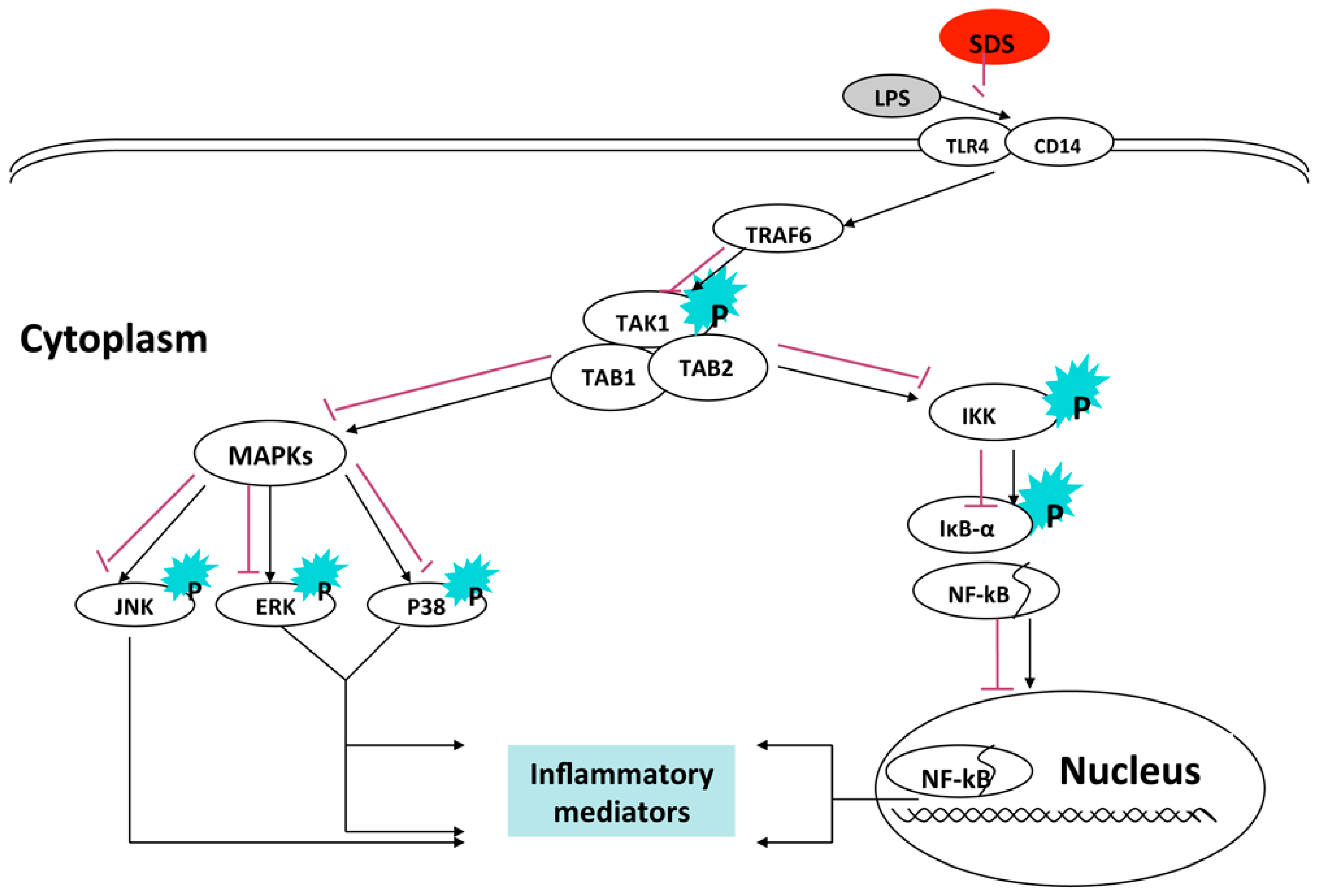 Molecules 21 01490 g007