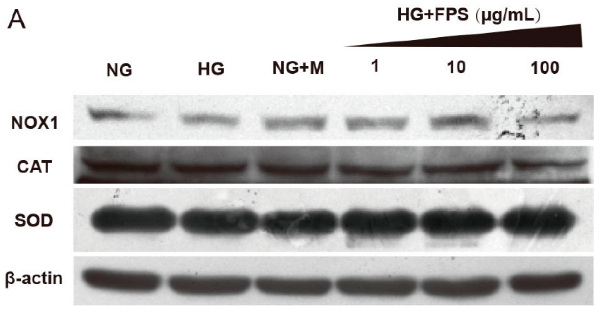 Molecules 21 01496 g008a