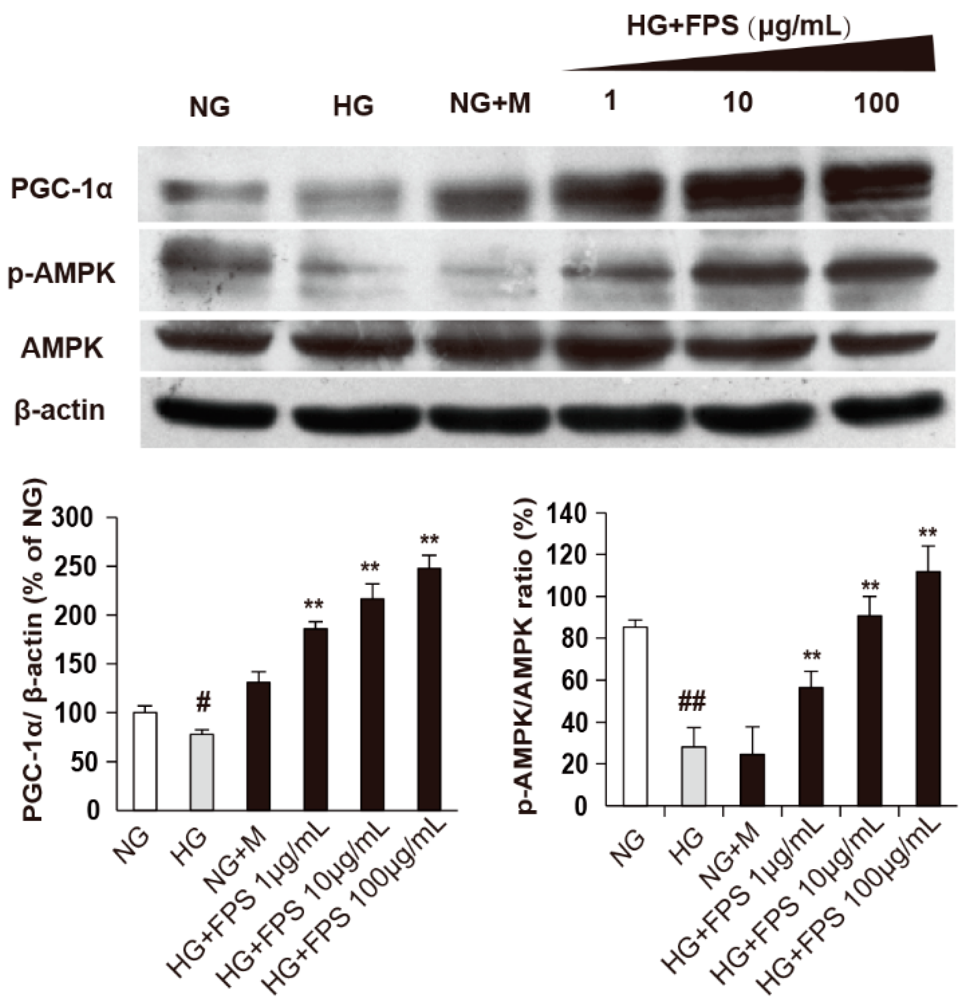 Molecules 21 01496 g009