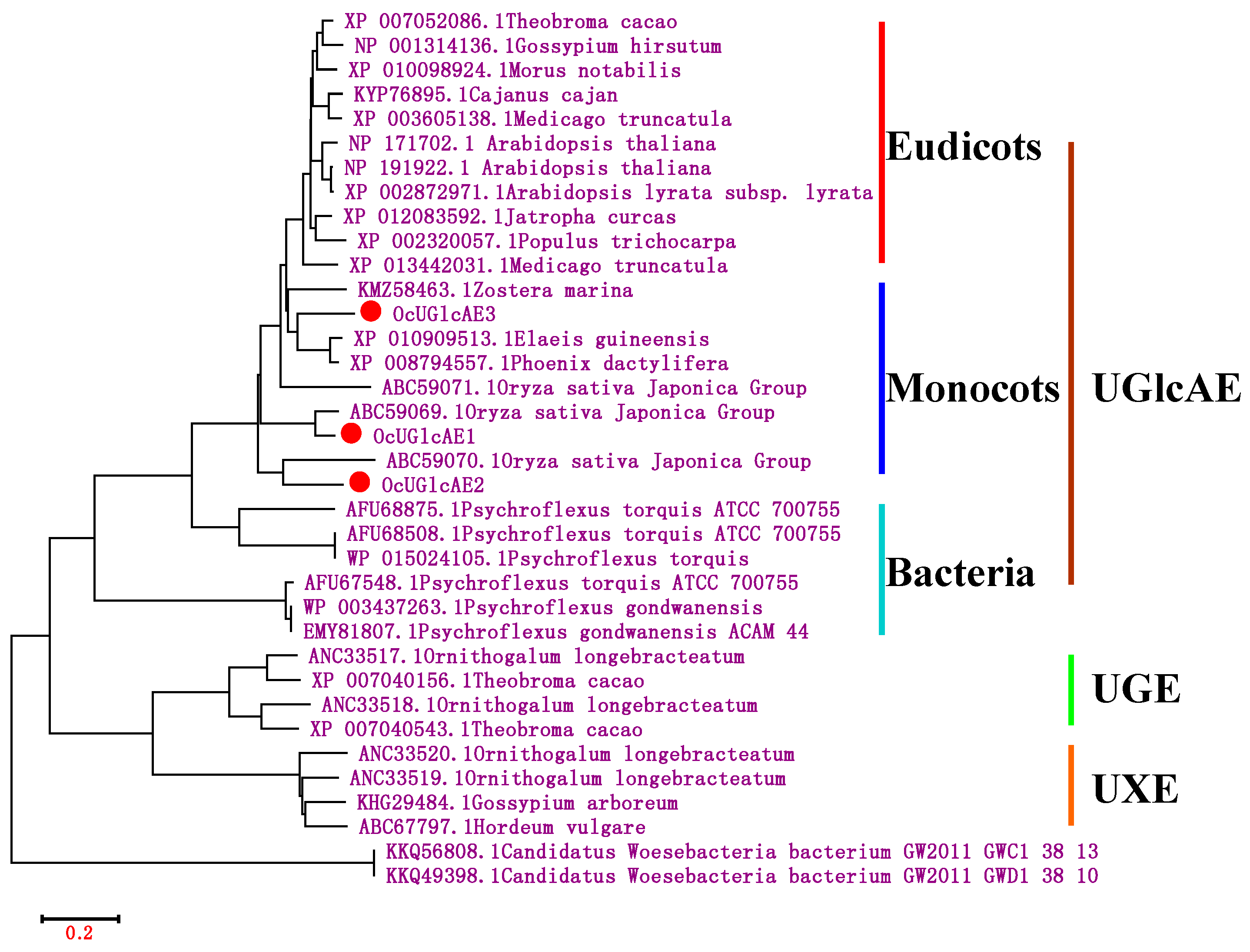Molecules 21 01505 g003