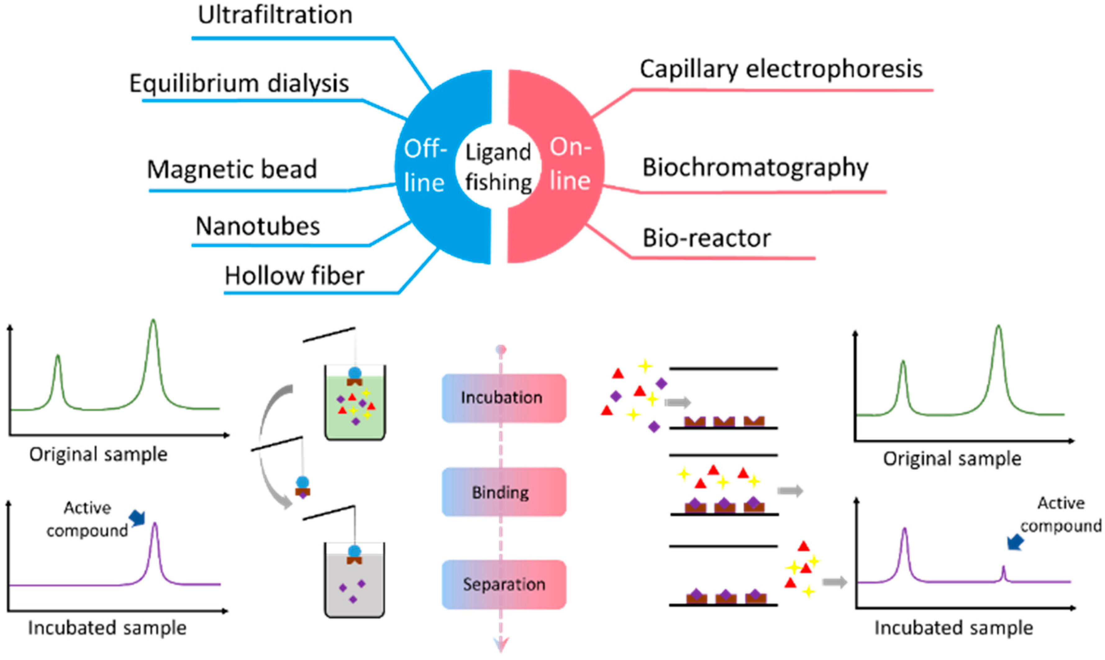 Molecules 21 01516 g001