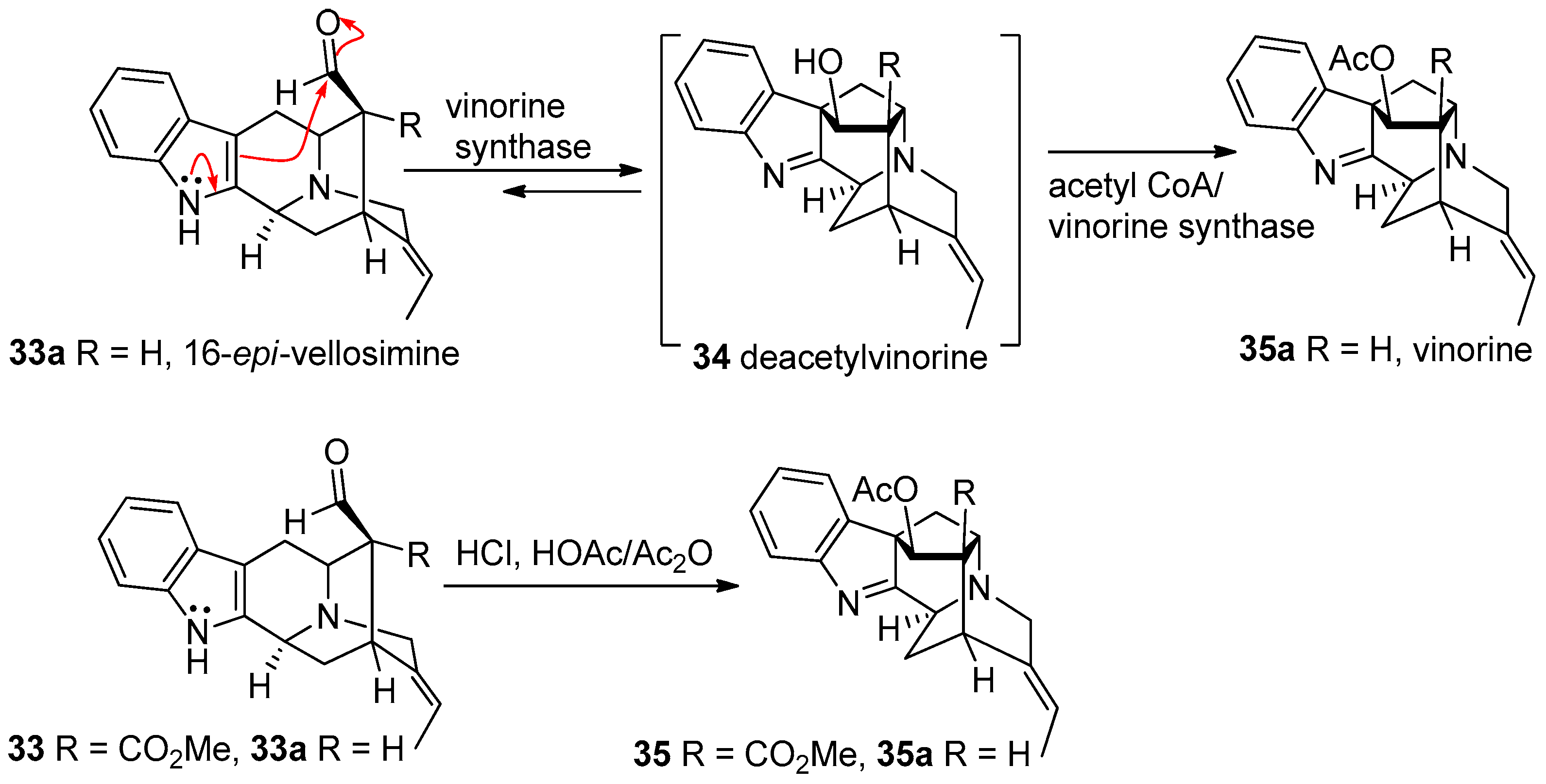 Molecules 21 01525 g005