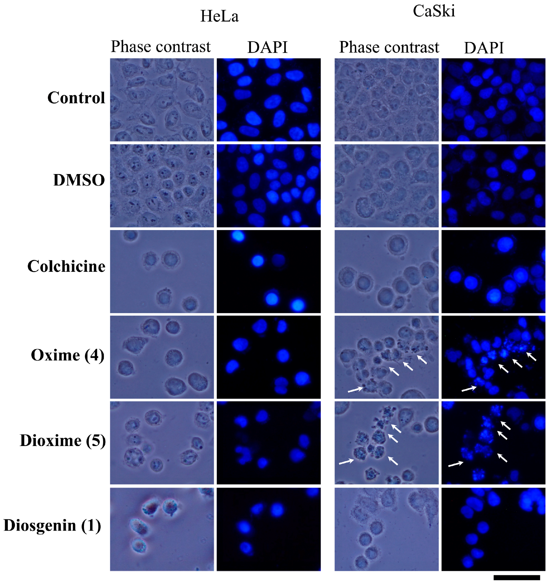 Molecules 21 01533 g005