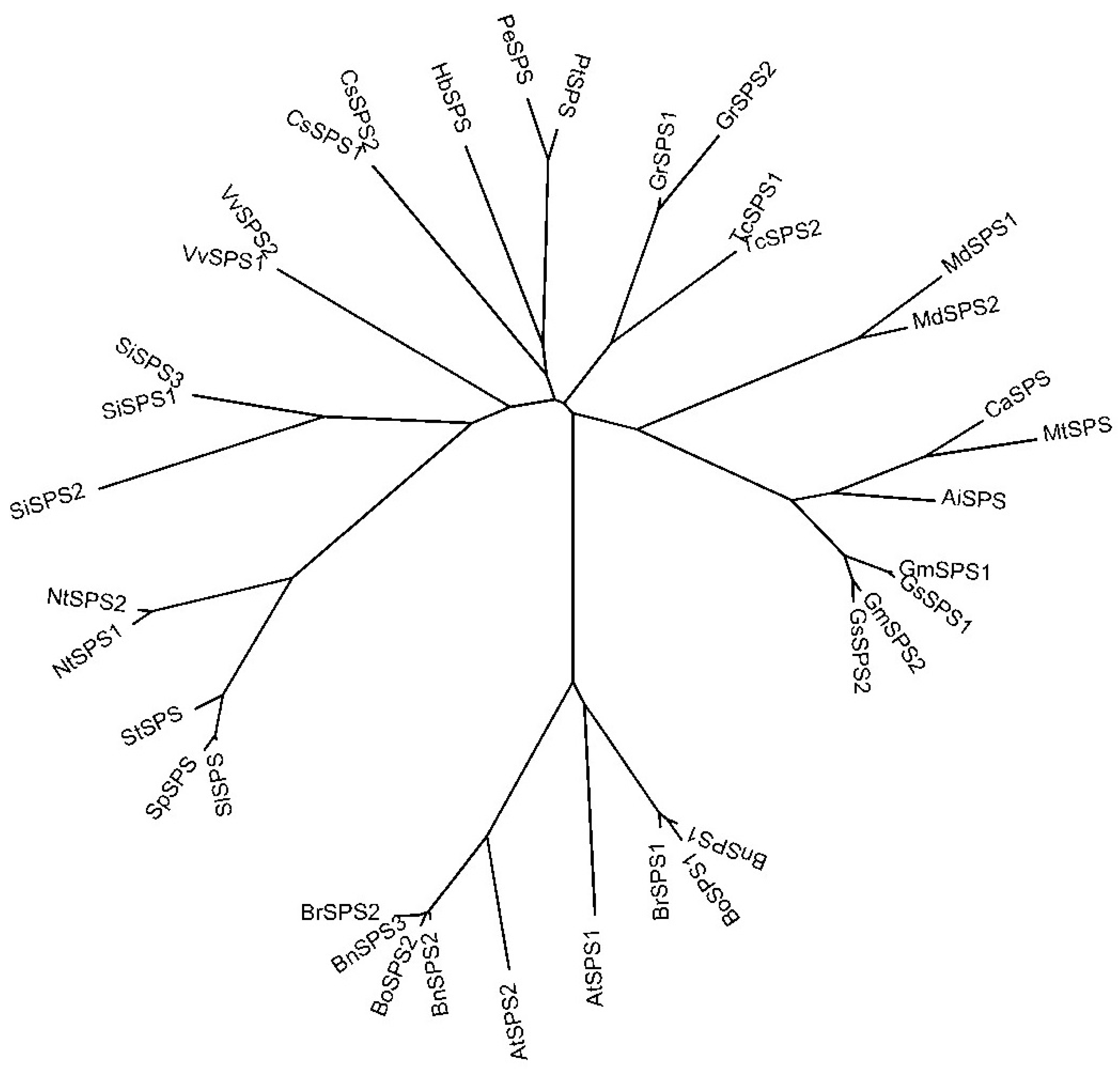 Molecules 21 01536 g004