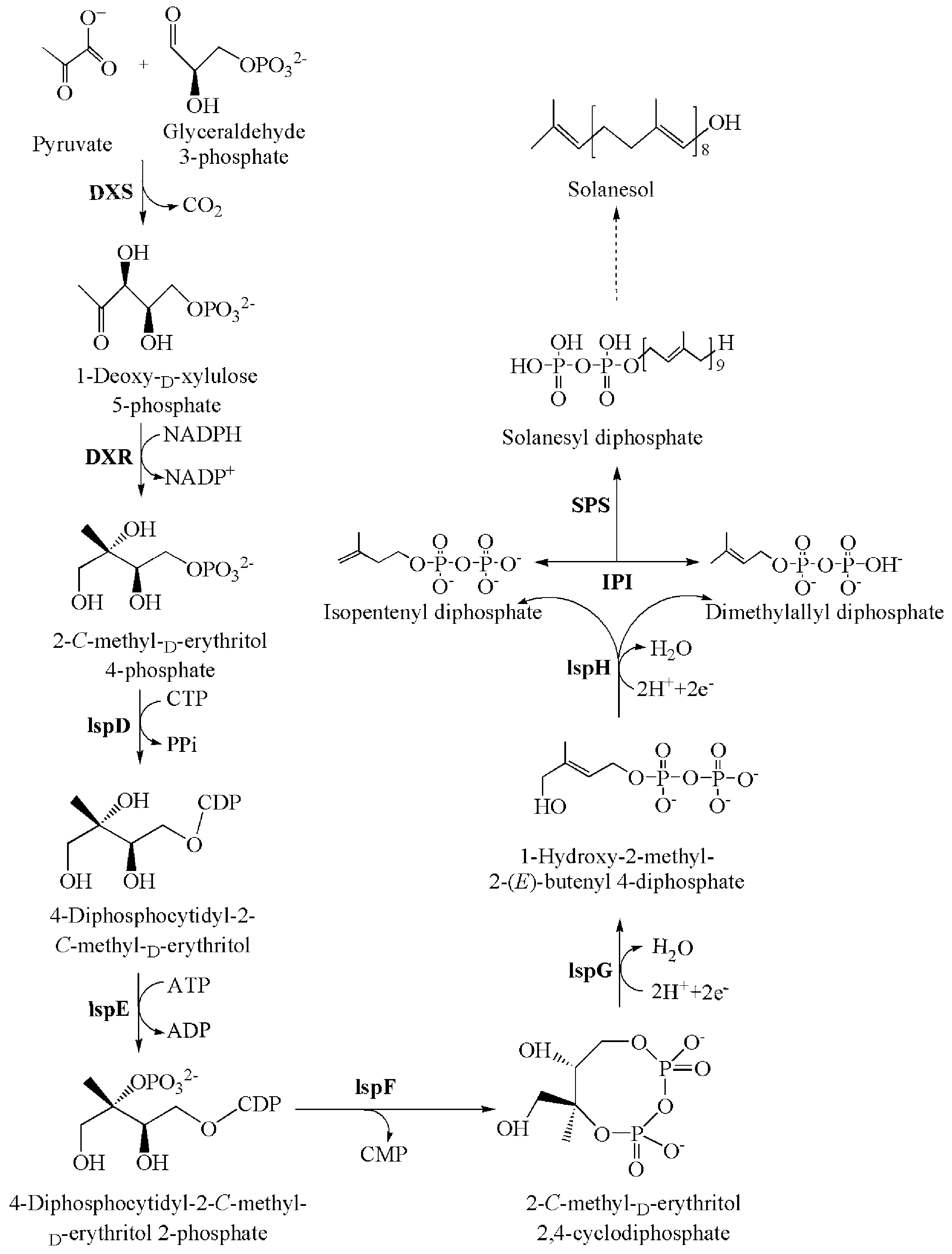 Molecules 21 01536 sch001