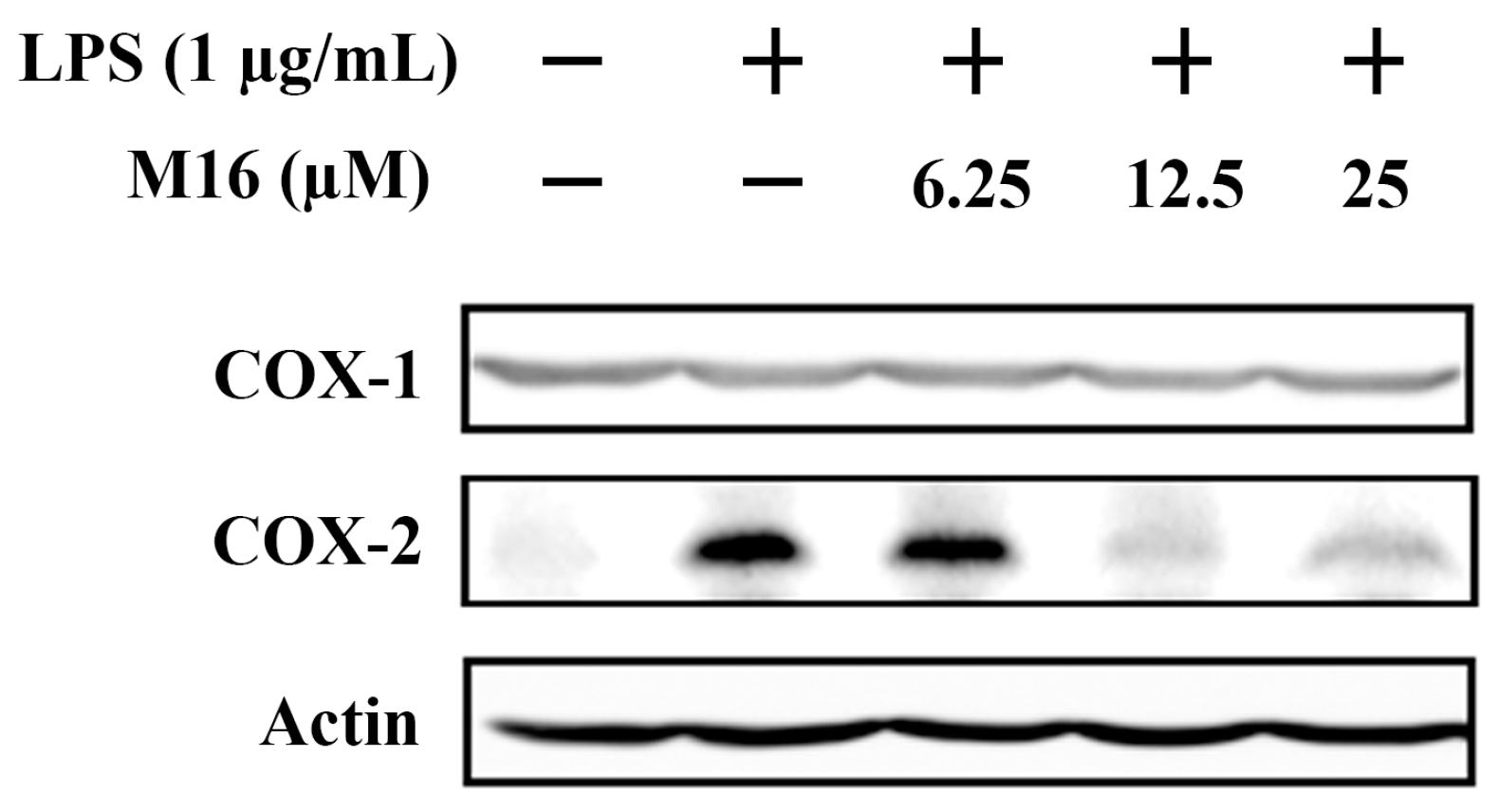 Molecules 21 01544 g004
