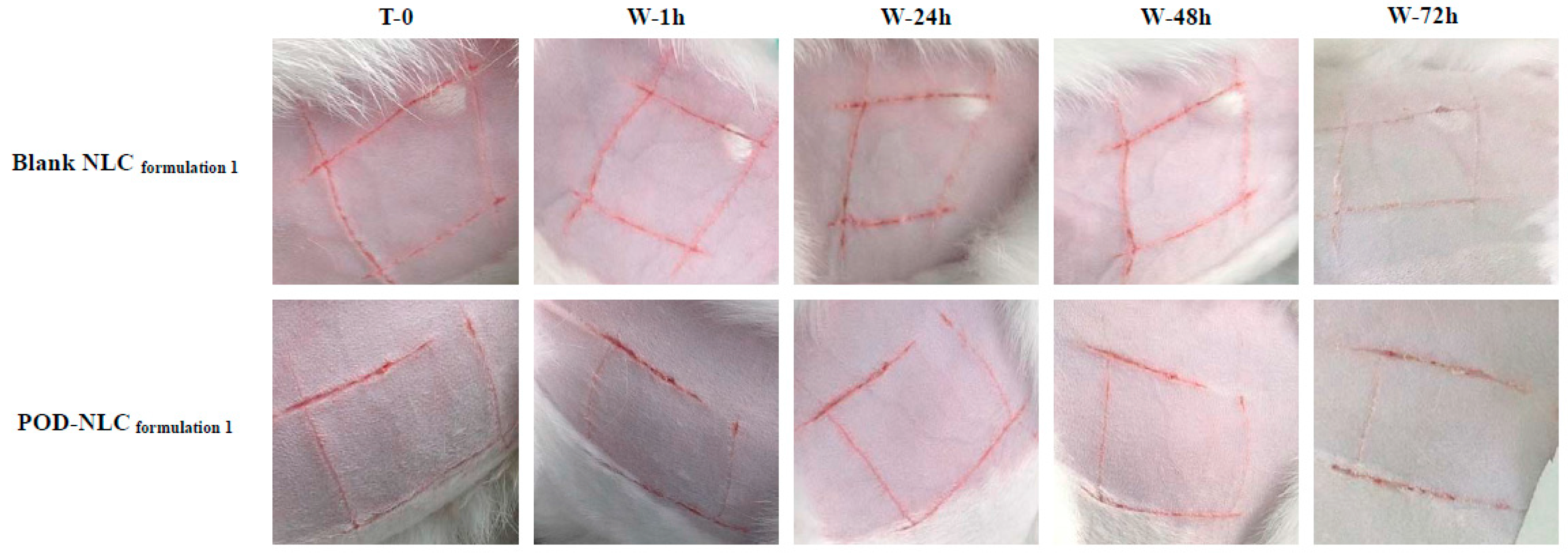 Molecules 21 01549 g007