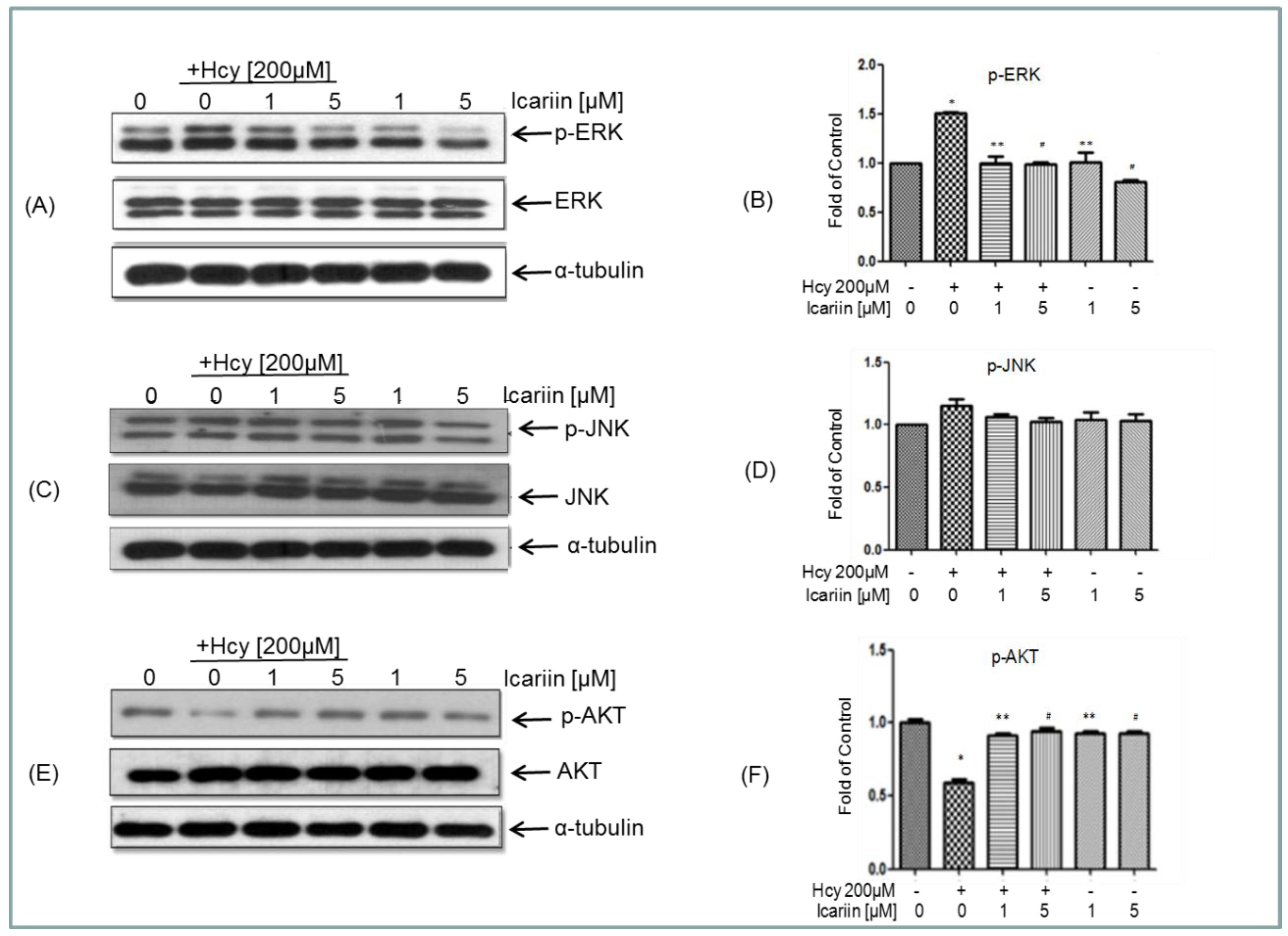 Molecules 21 01557 g005