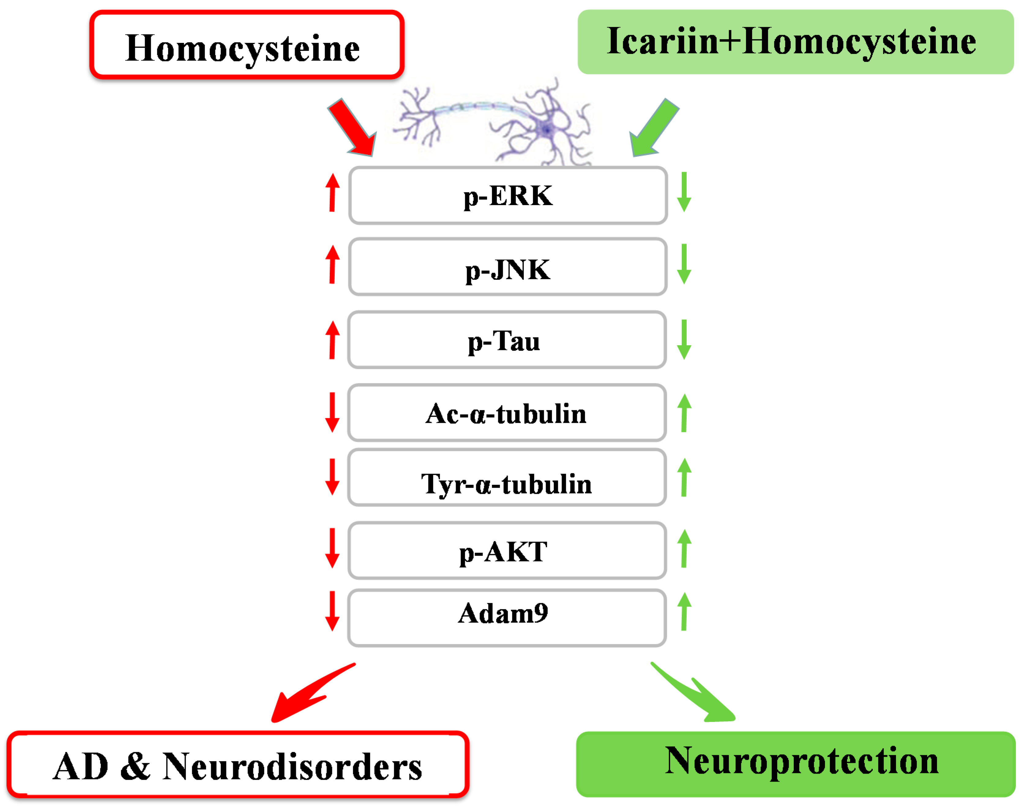 Molecules 21 01557 g008
