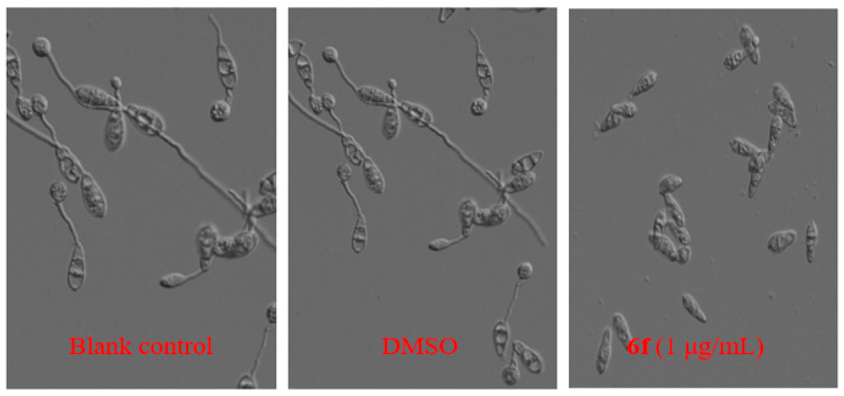 Molecules 21 01574 g004